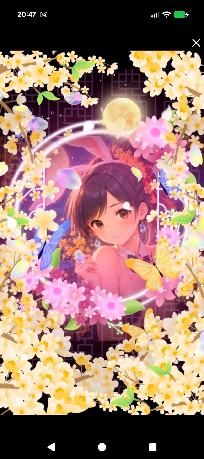 のほほんと…　1h
