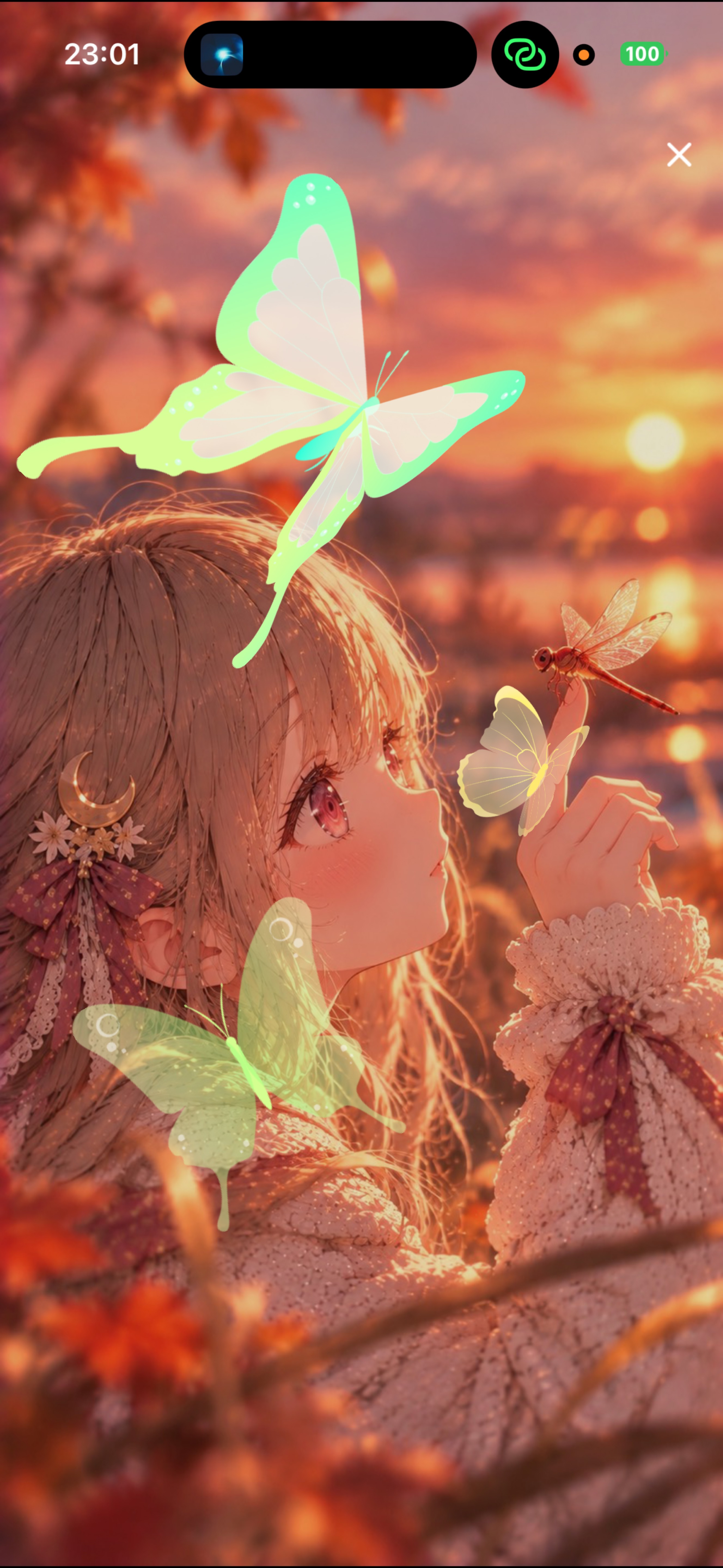 0時までだお！！！(꜆꜄•̀ω•́)꜆