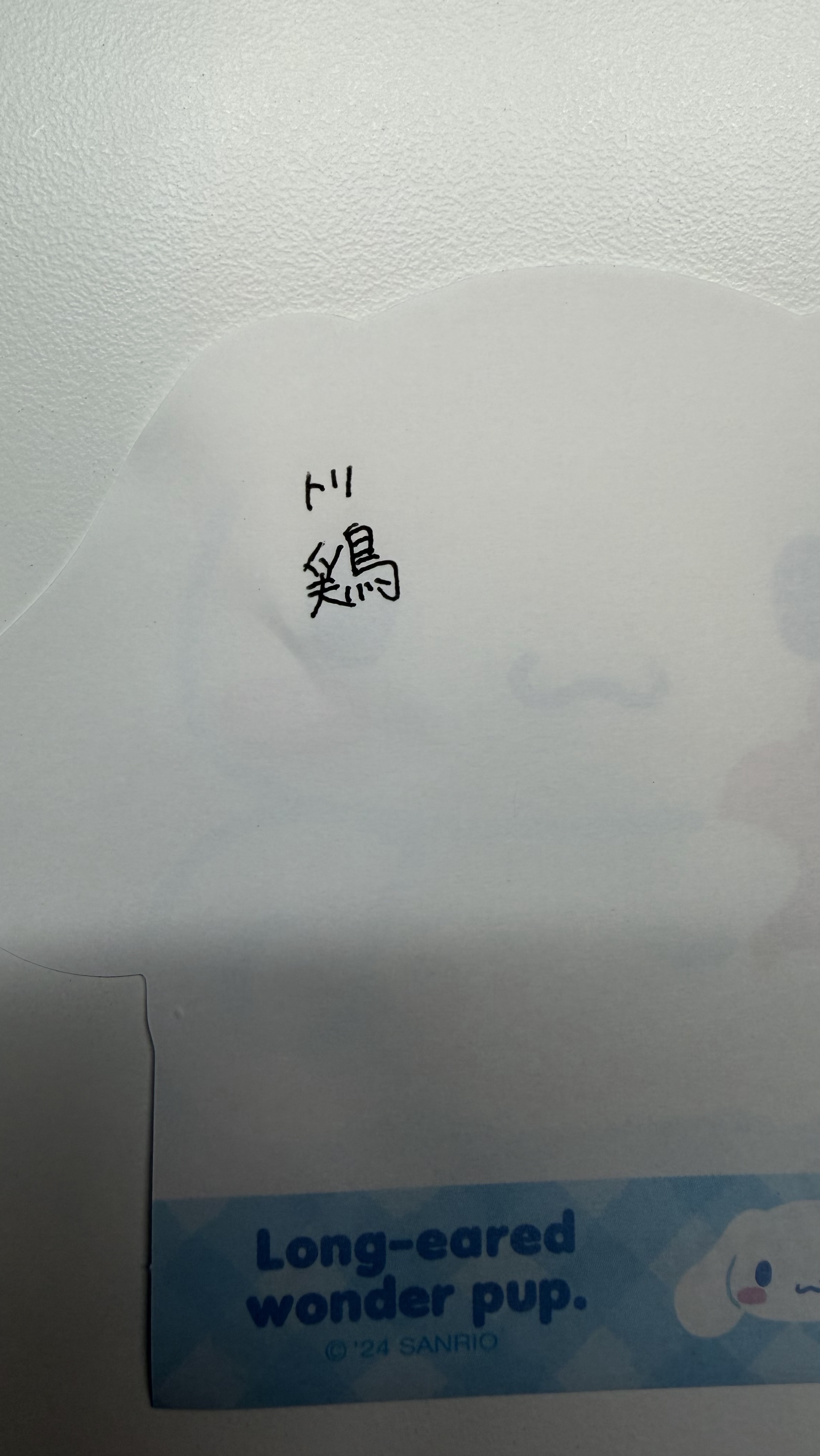 八重歯で刺してあげる🩵初見さんおいで