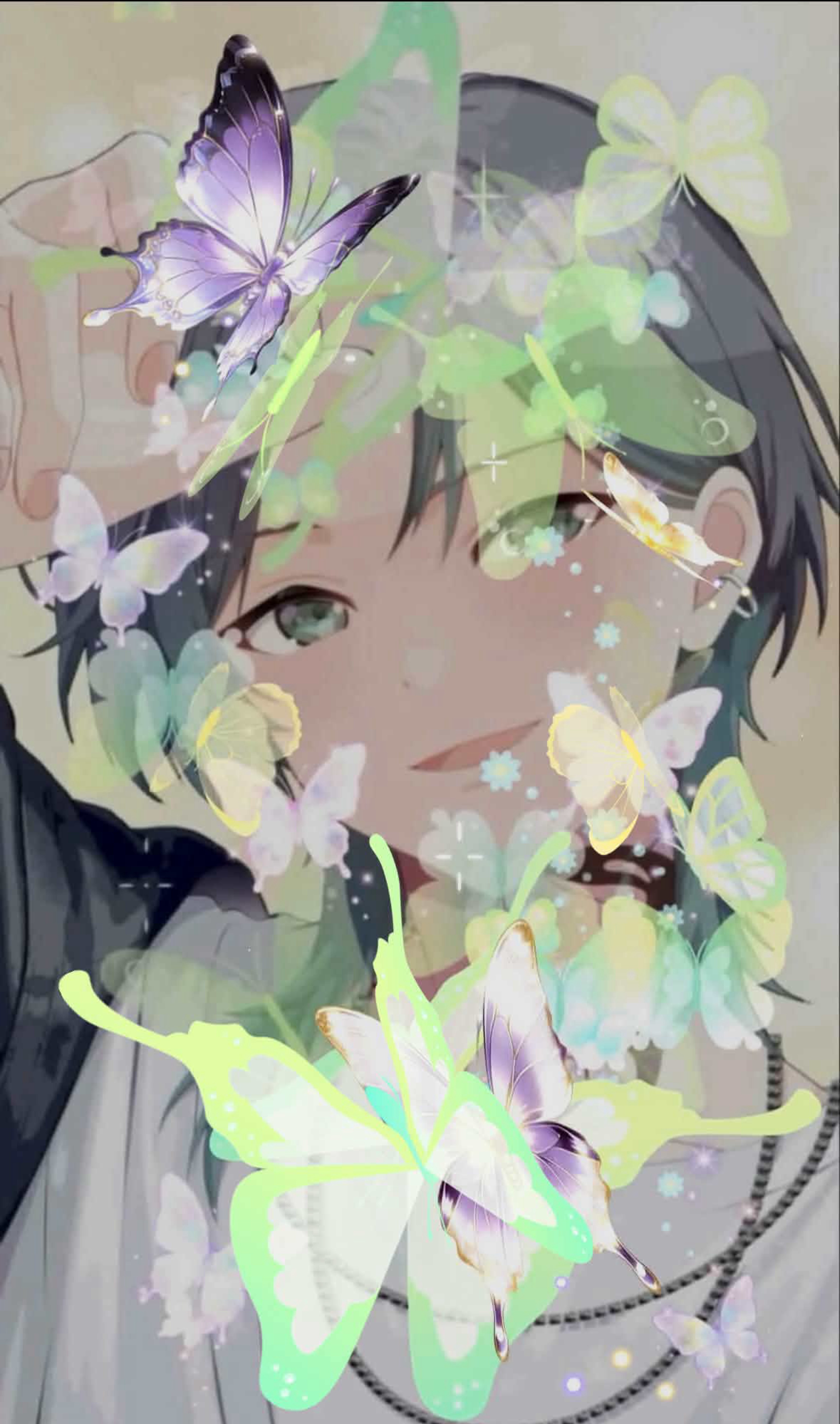 さち枠‼️秋の蝶々祭り‼️