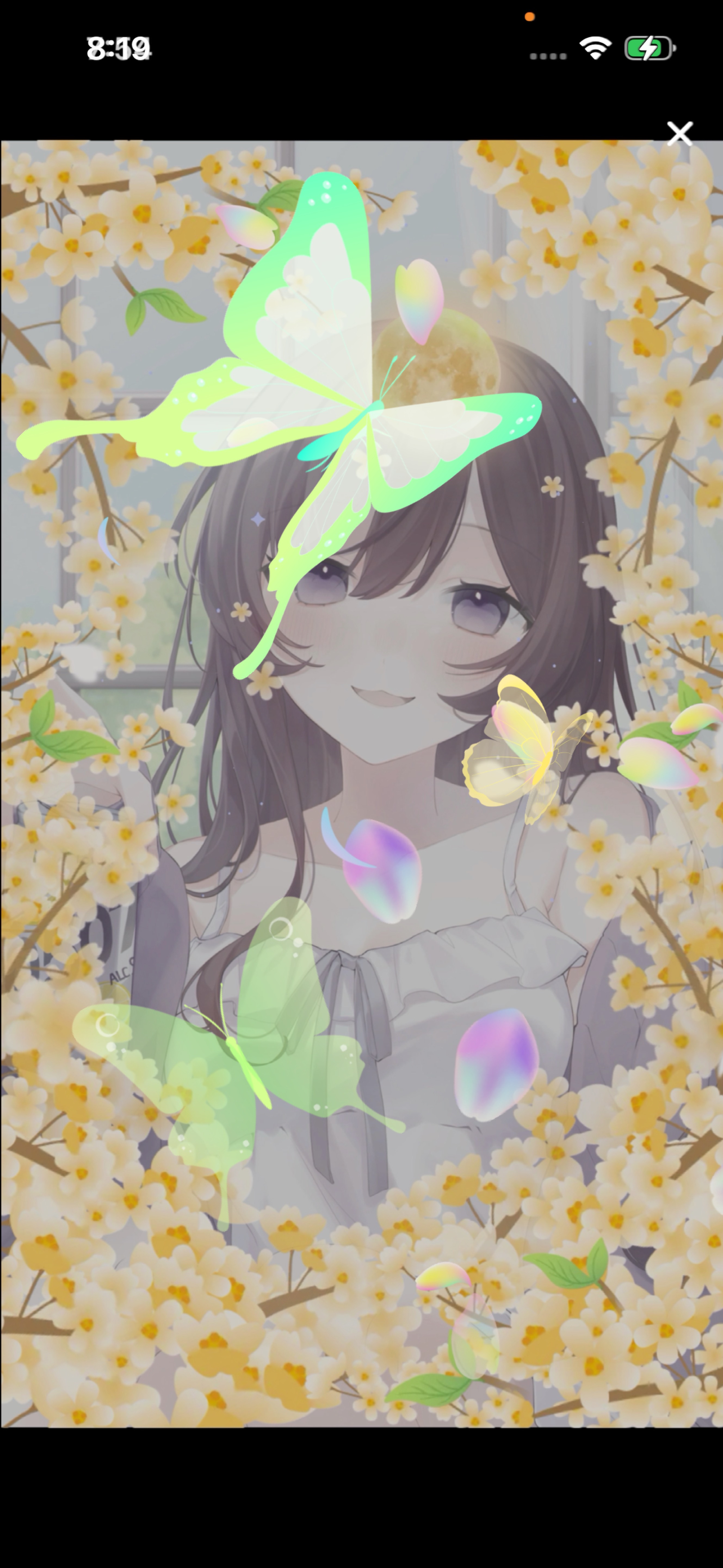 朝ごはん教えてください