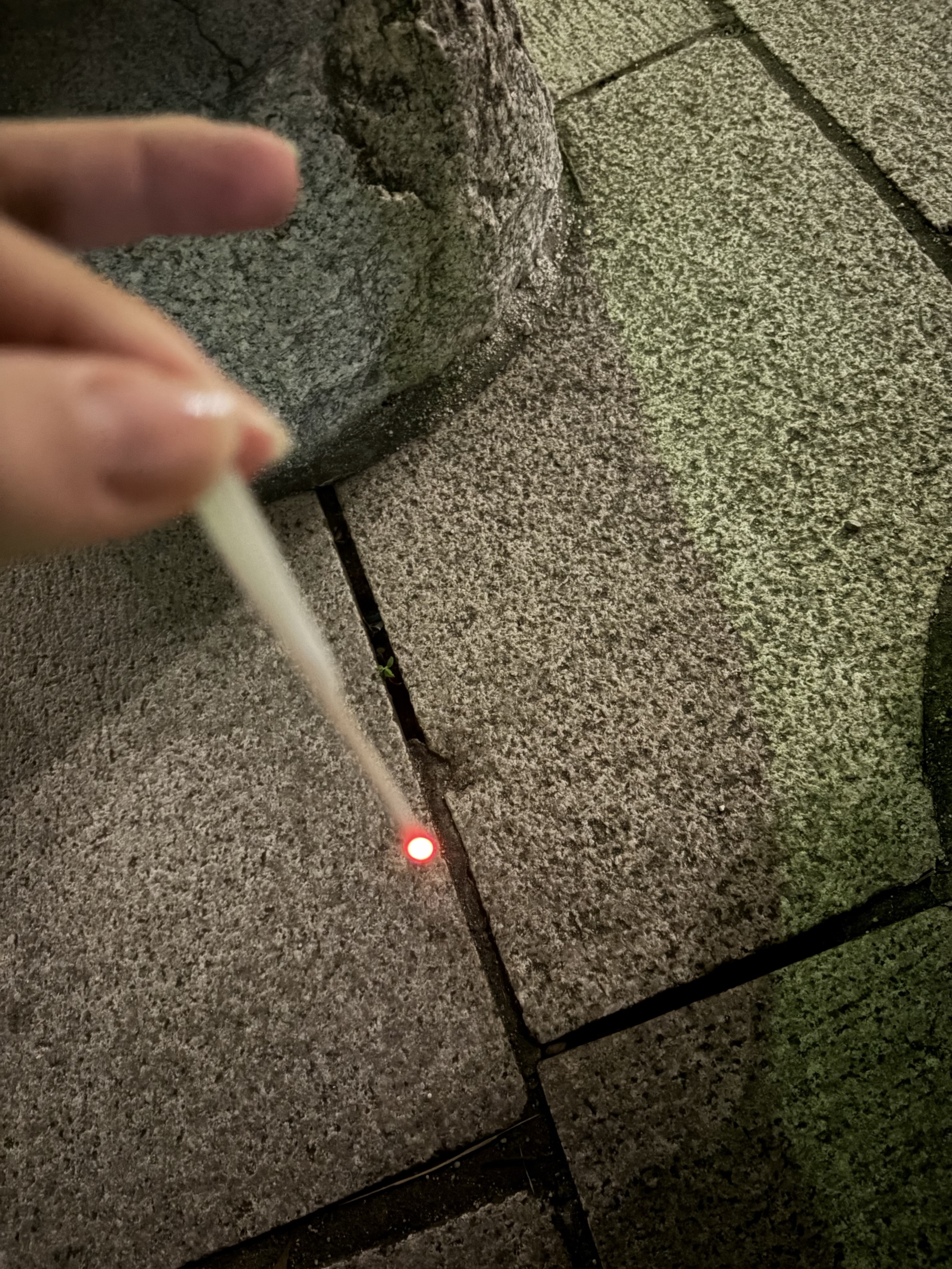 HANABI 2026 なつおわ🎇