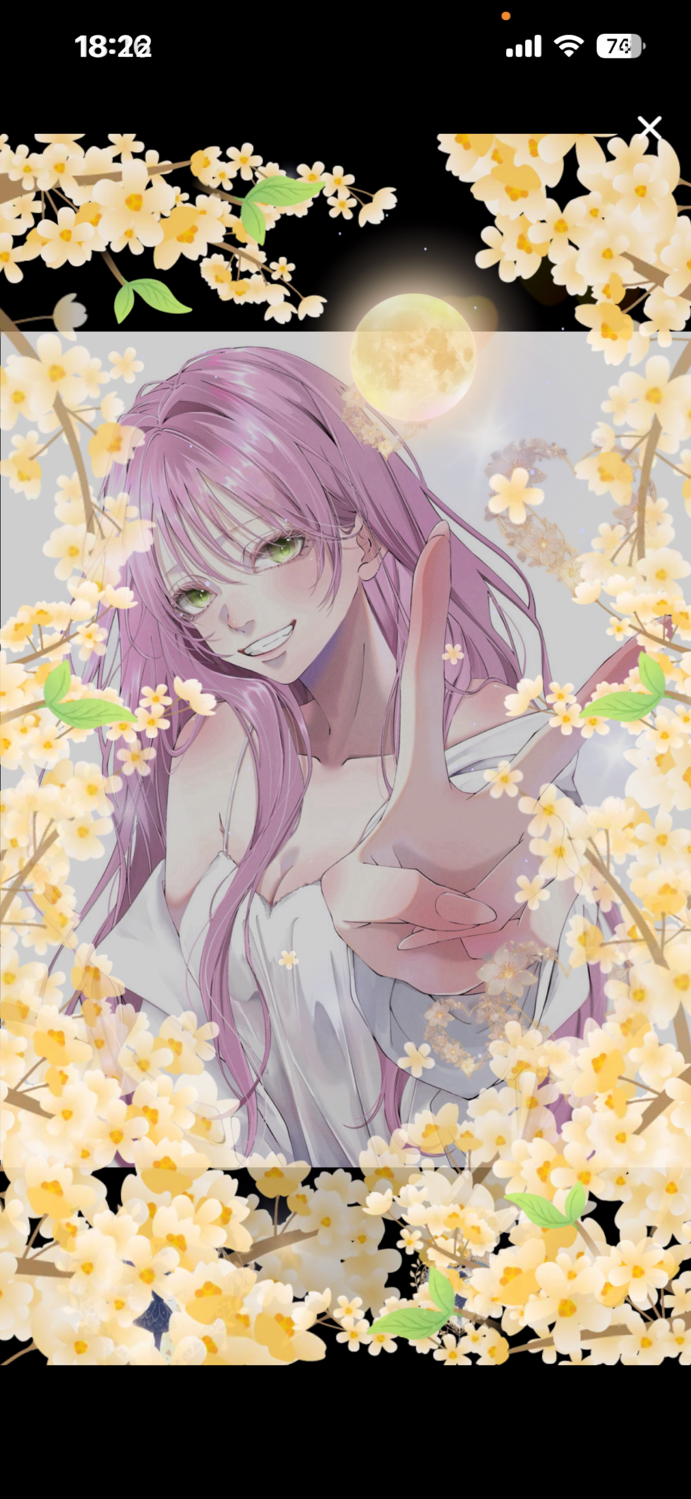 ここおいで.