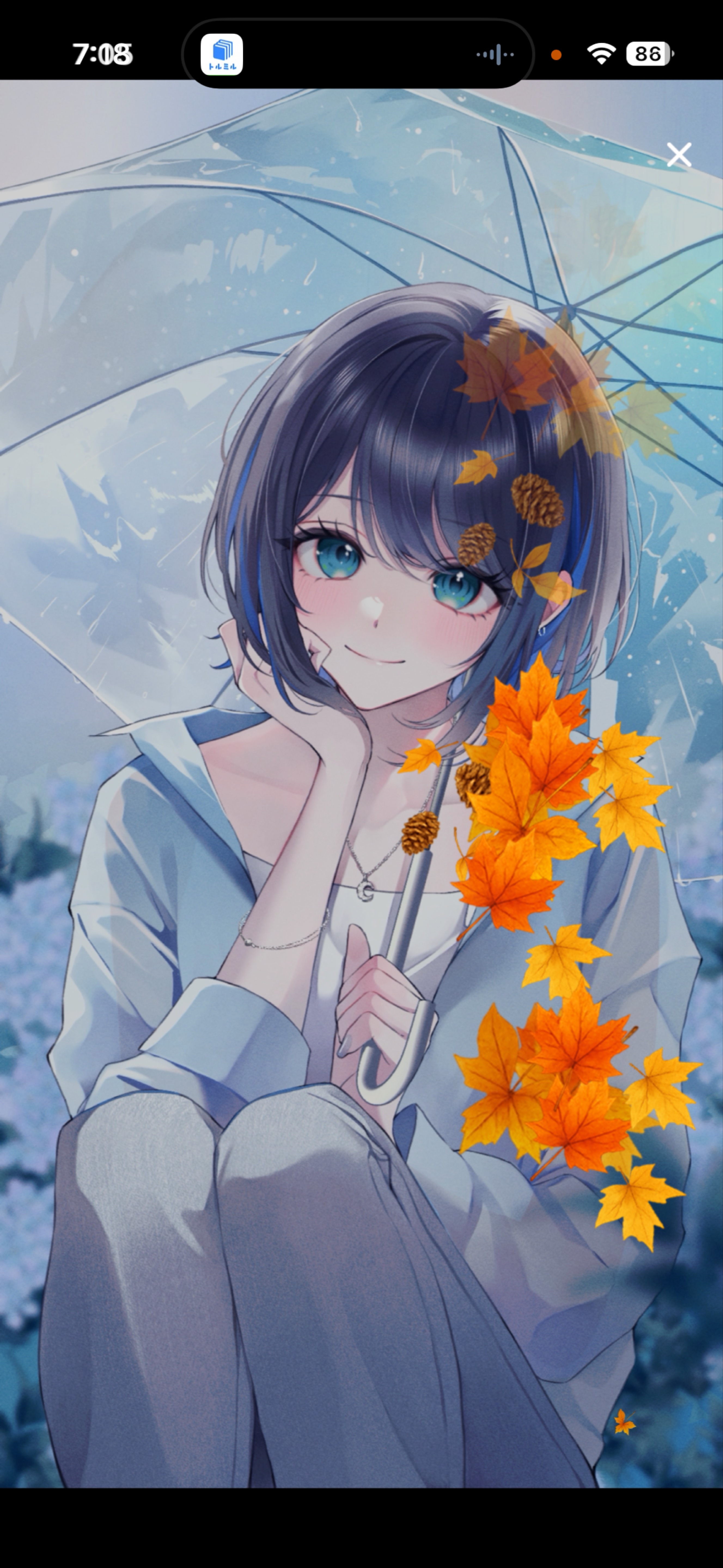 おはよう15分☀️