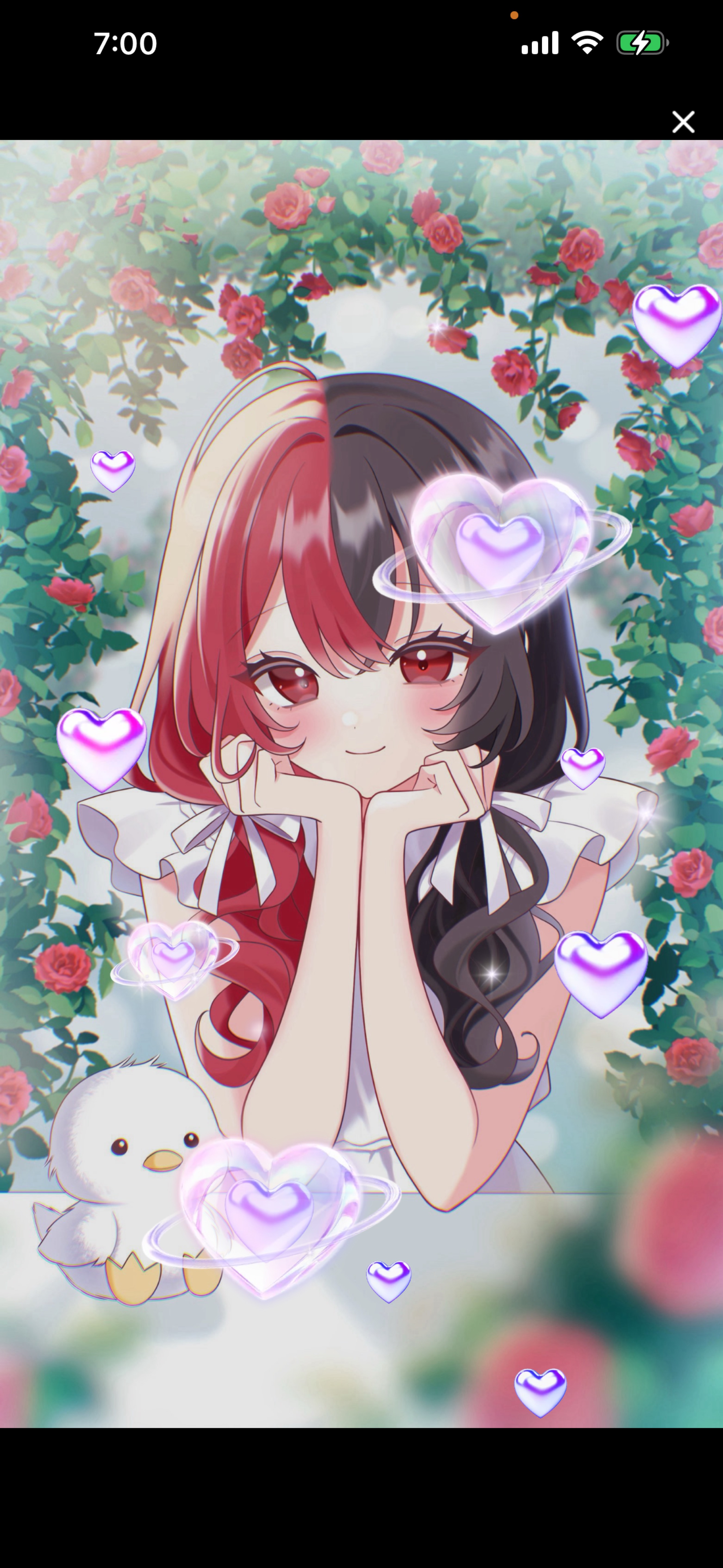 おはパラ(ノ_ _)ノ