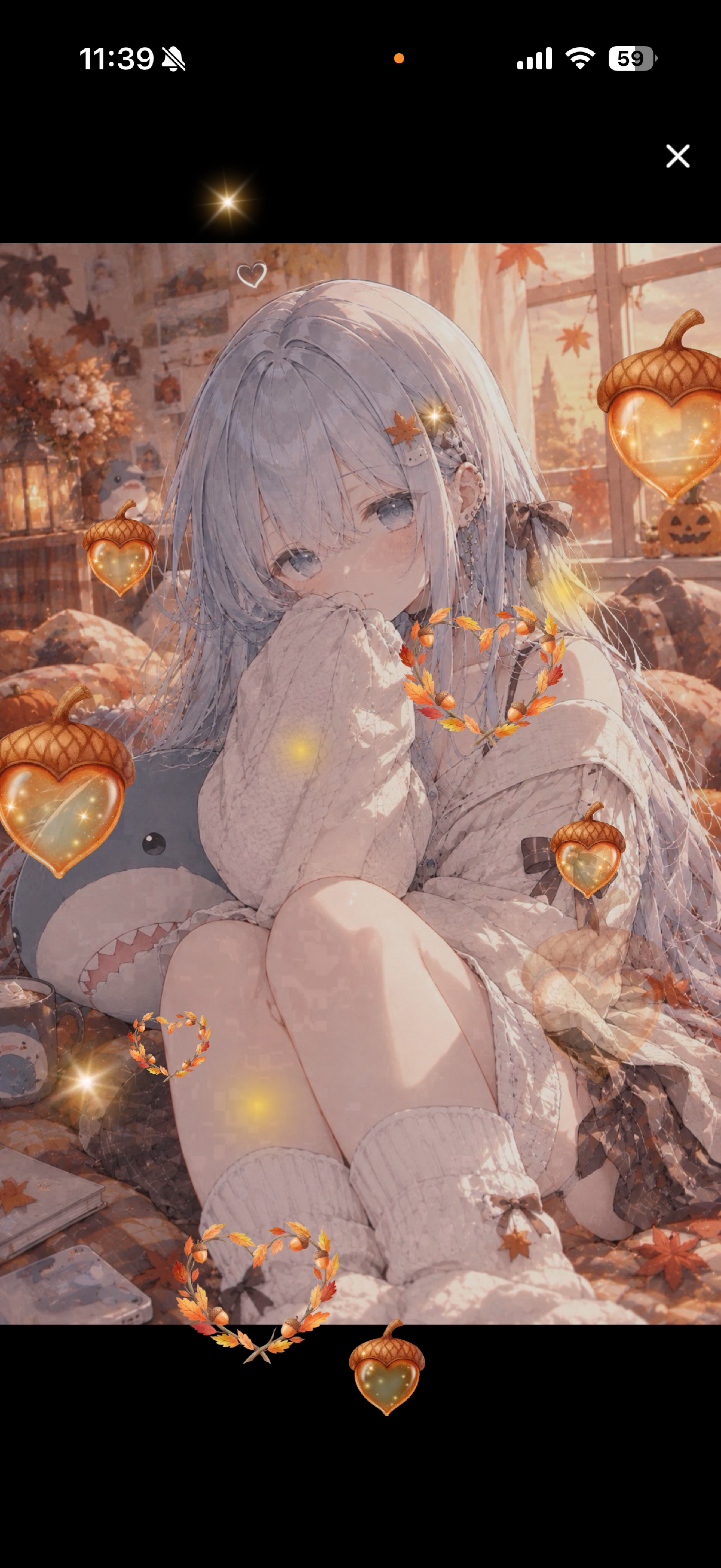 さめがルール