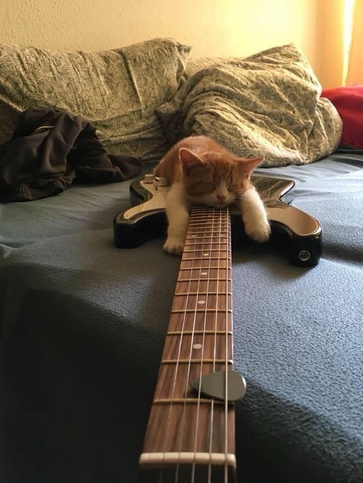 やるよ