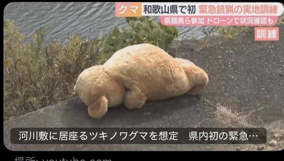 たちだう