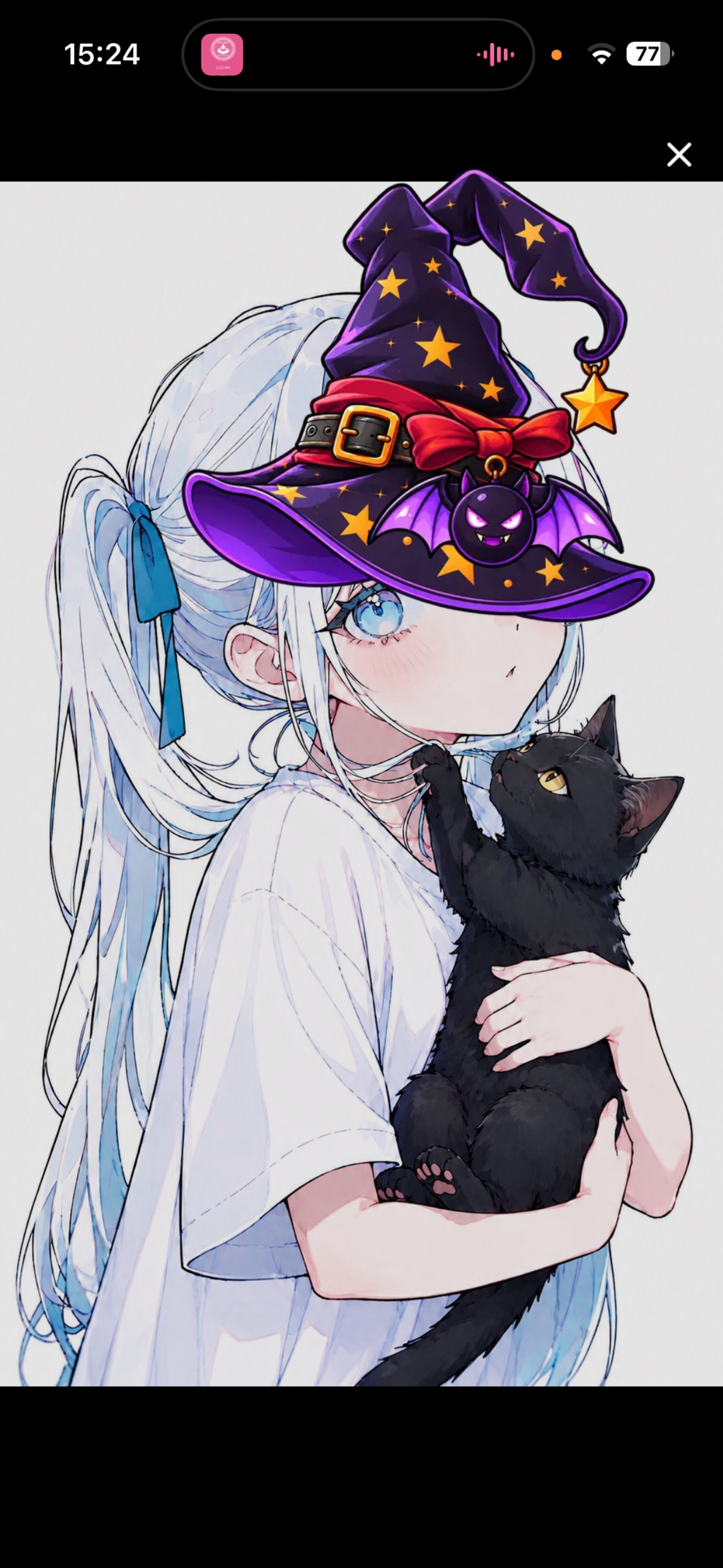 はろはろはろー