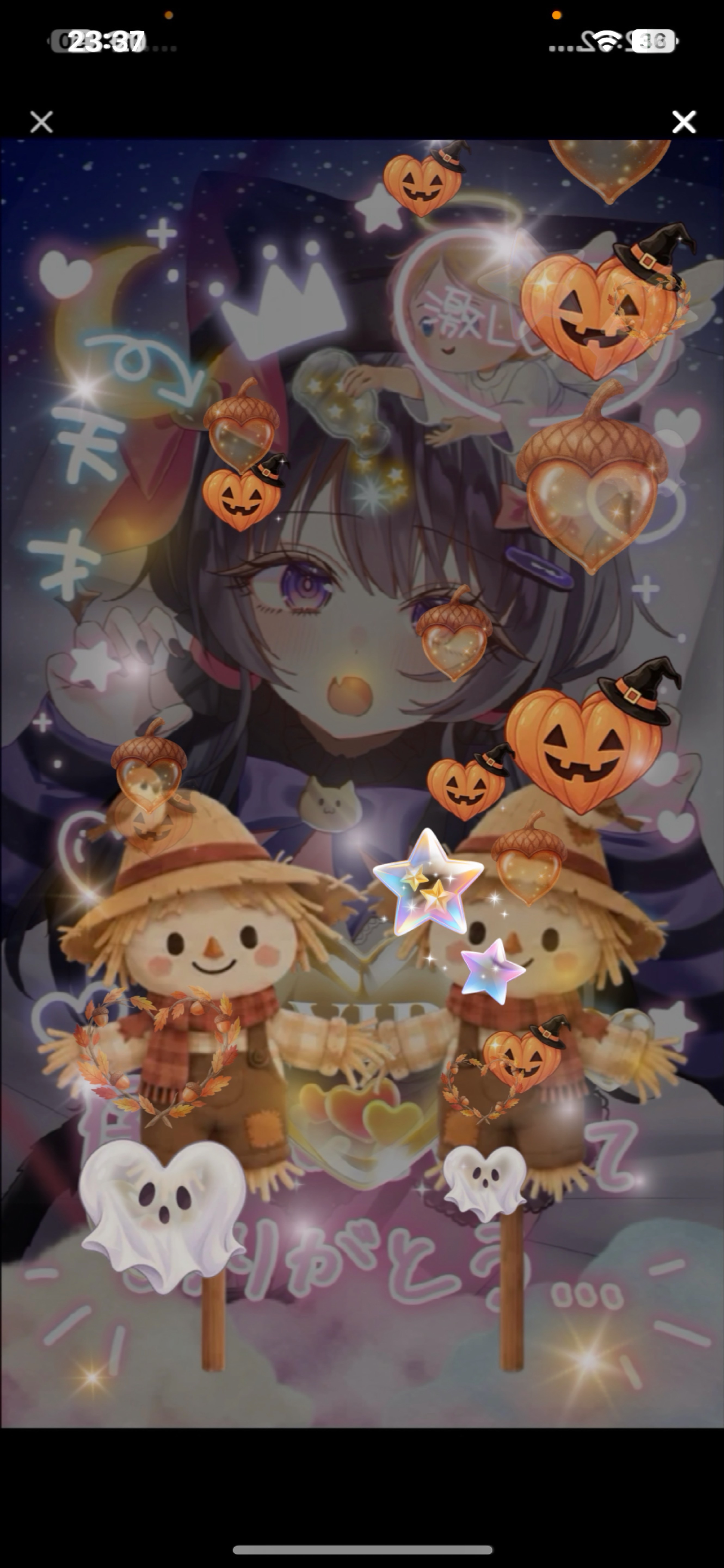 ガオーー🎃🐈‍⬛⸒⸒⸒⸒🐾