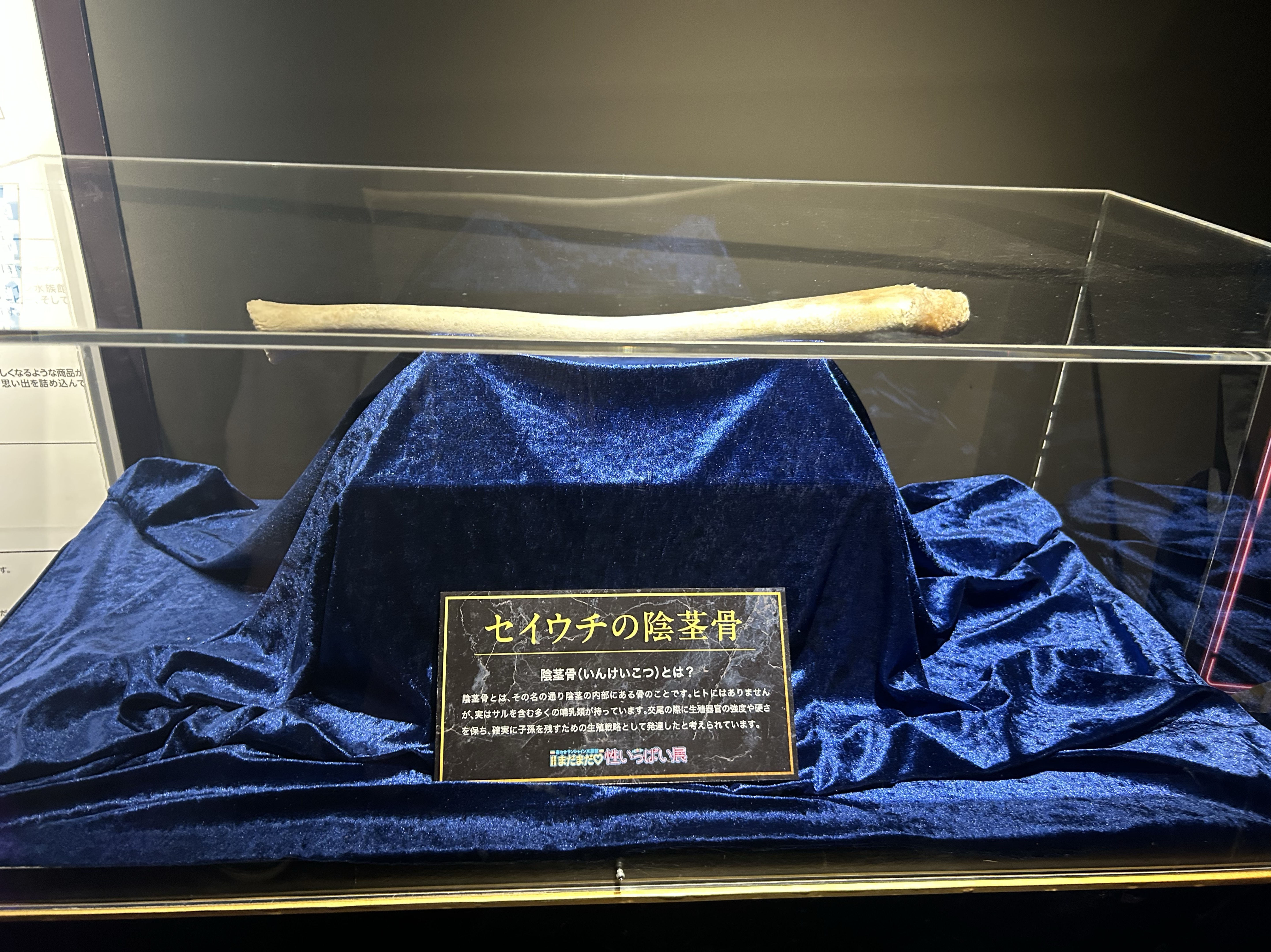 毎日が月曜日