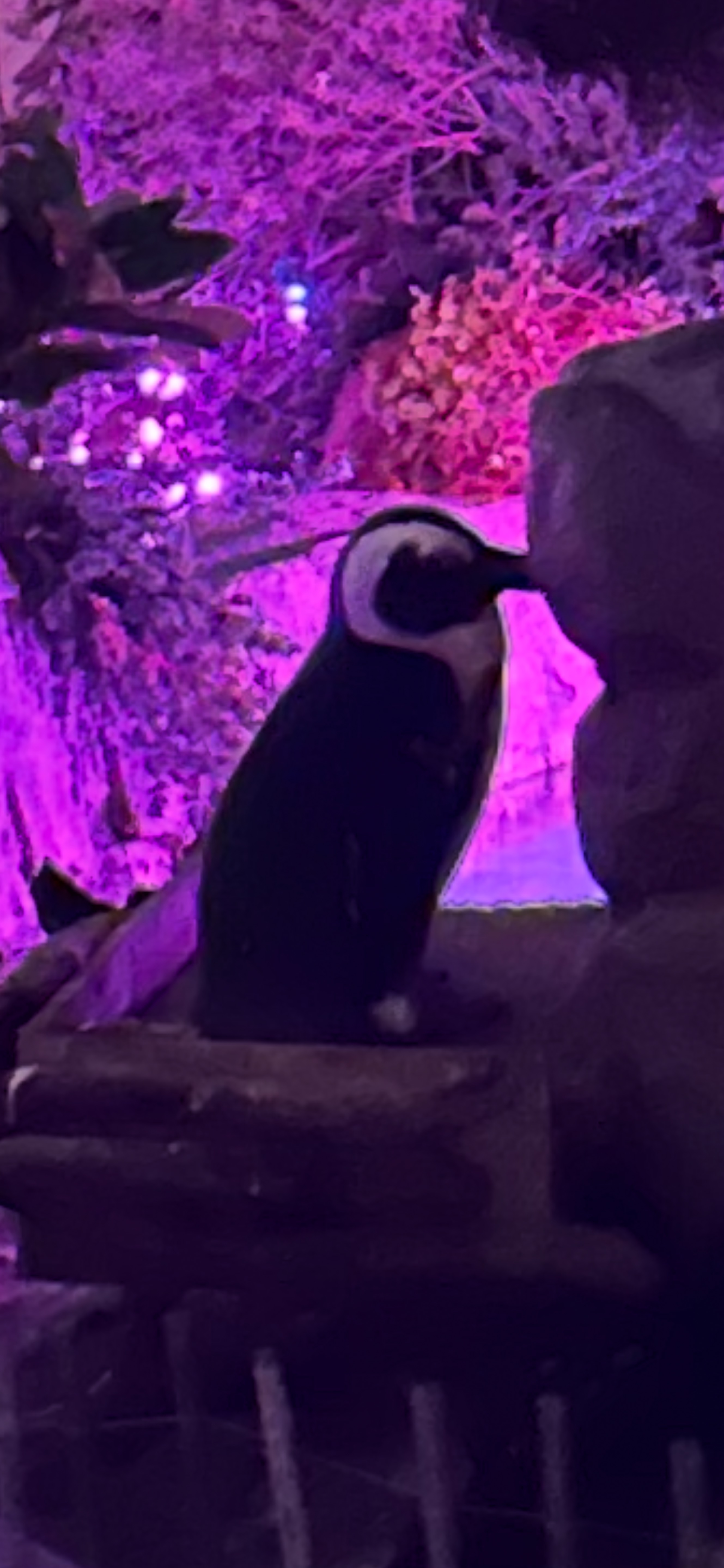 おはよう