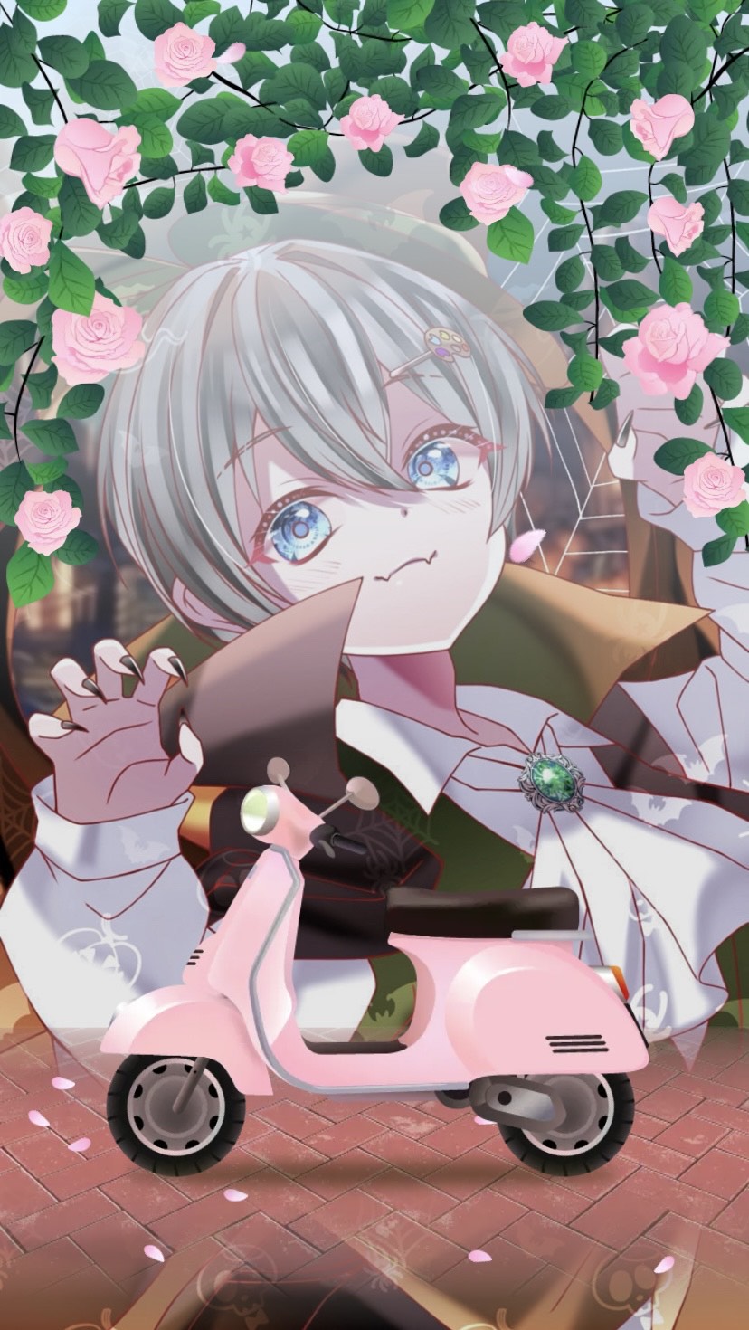 朝の癒しをお届け‪𓂃 𓈒𓏸