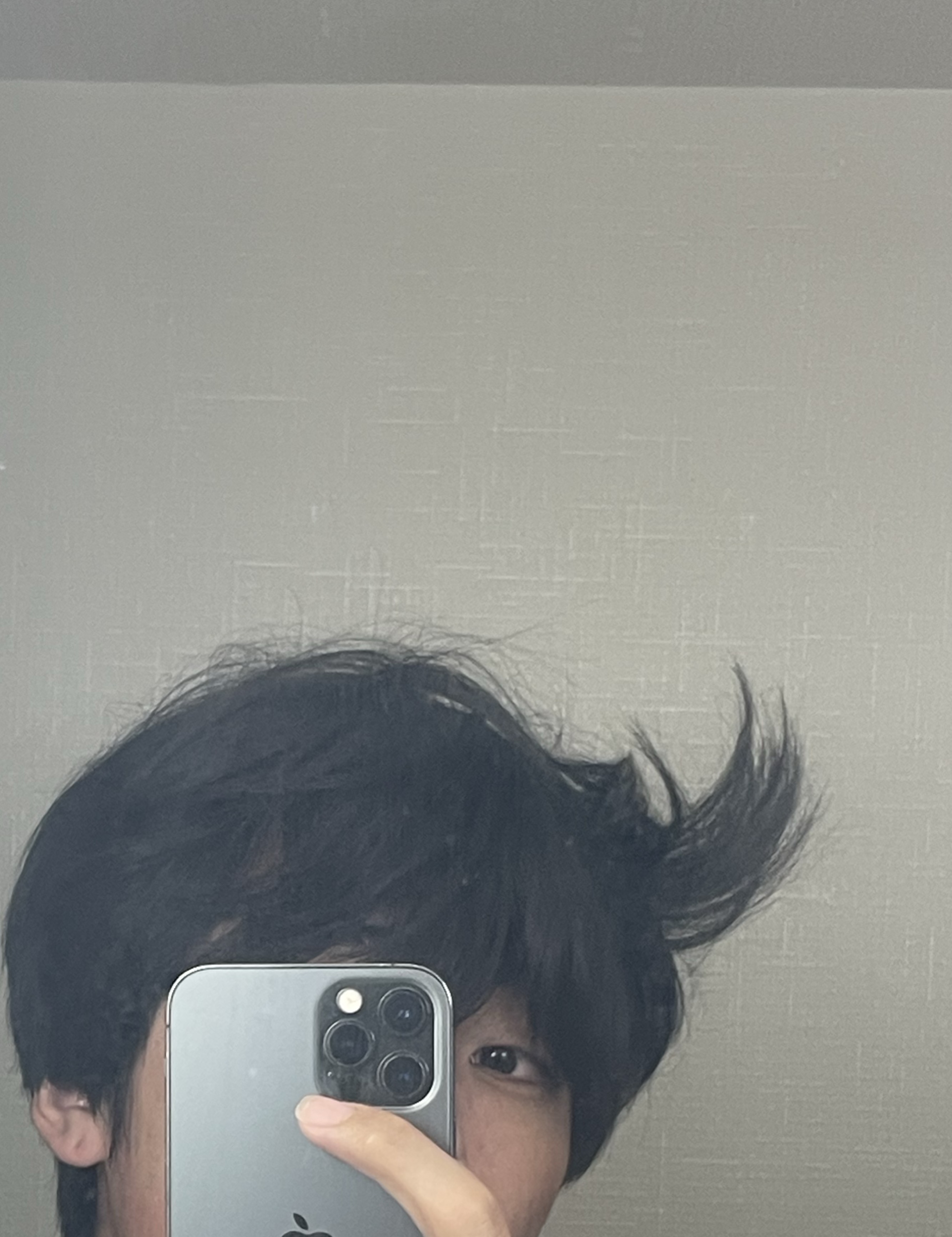 ただいまねむる？