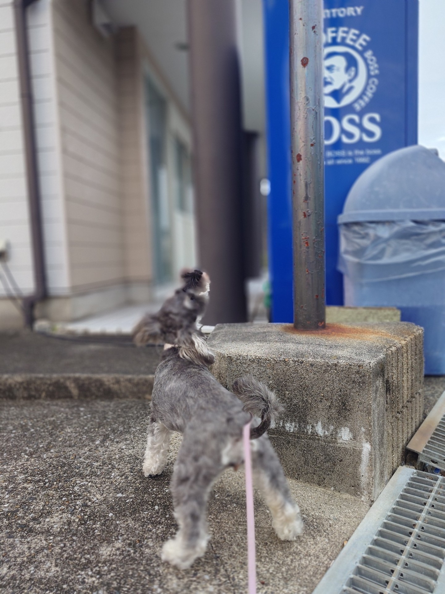 POST