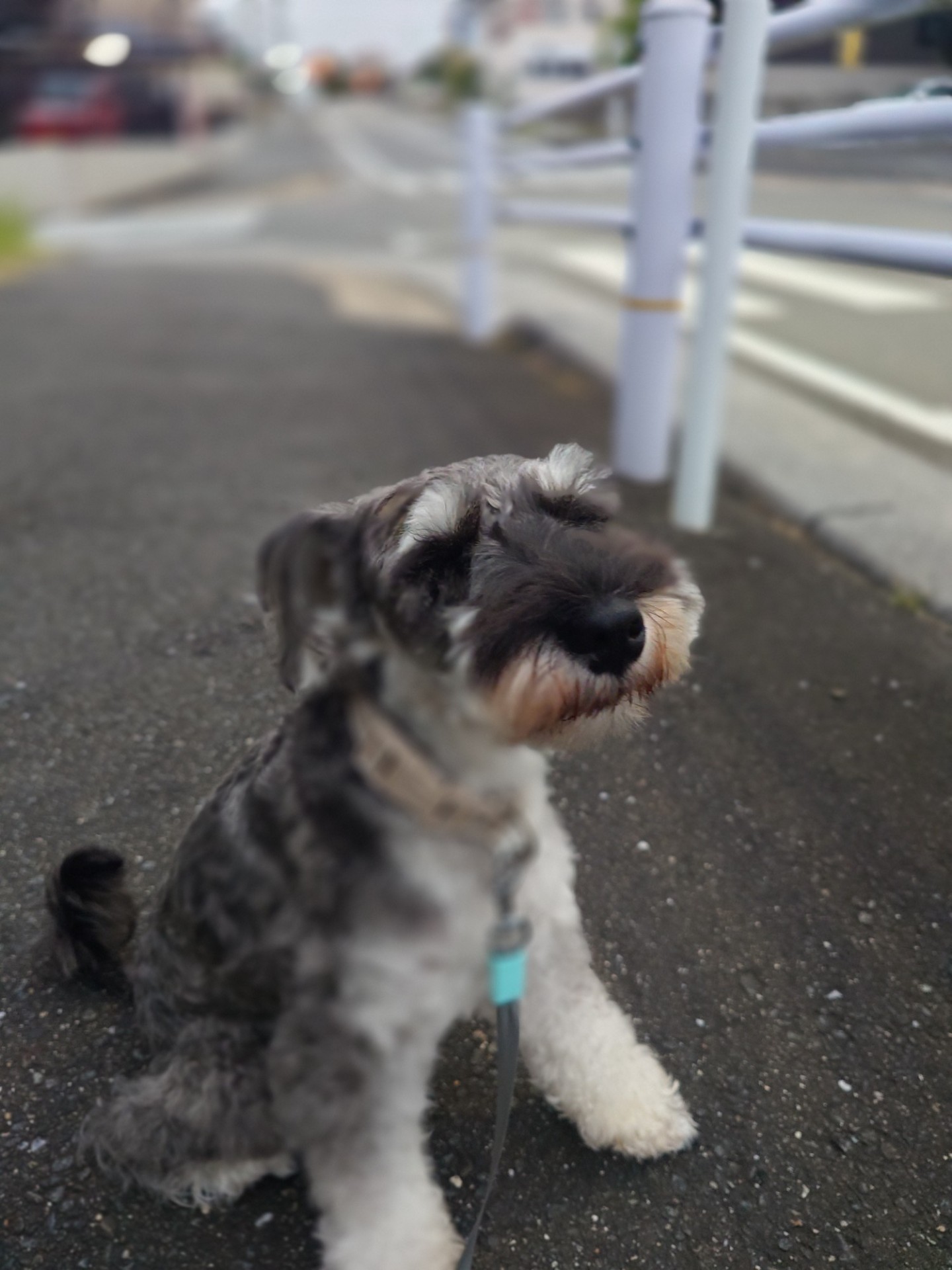 POST
