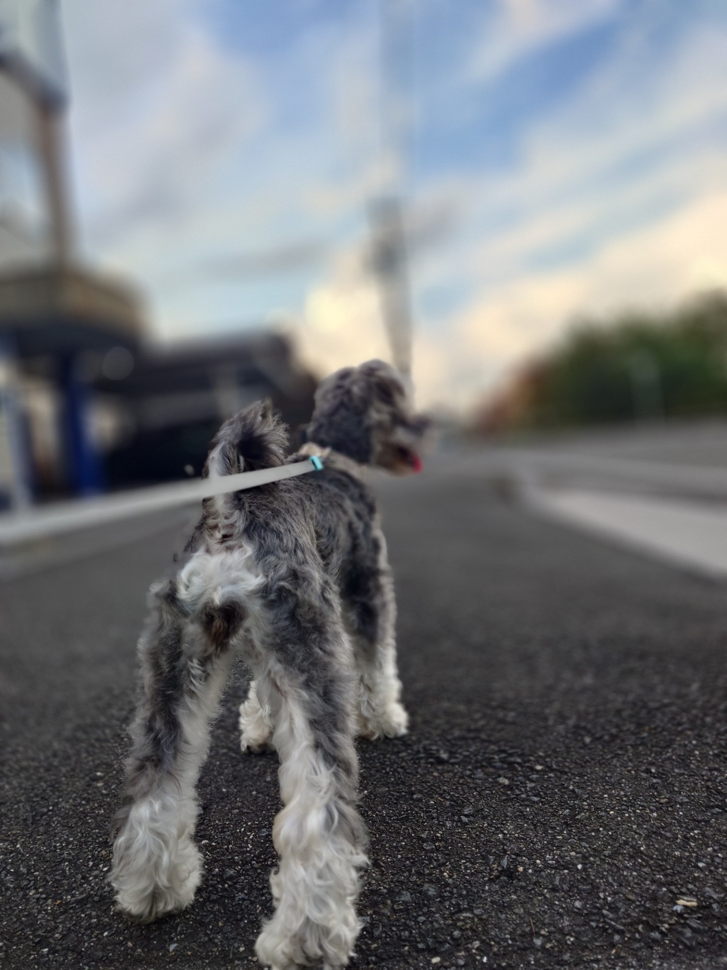POST