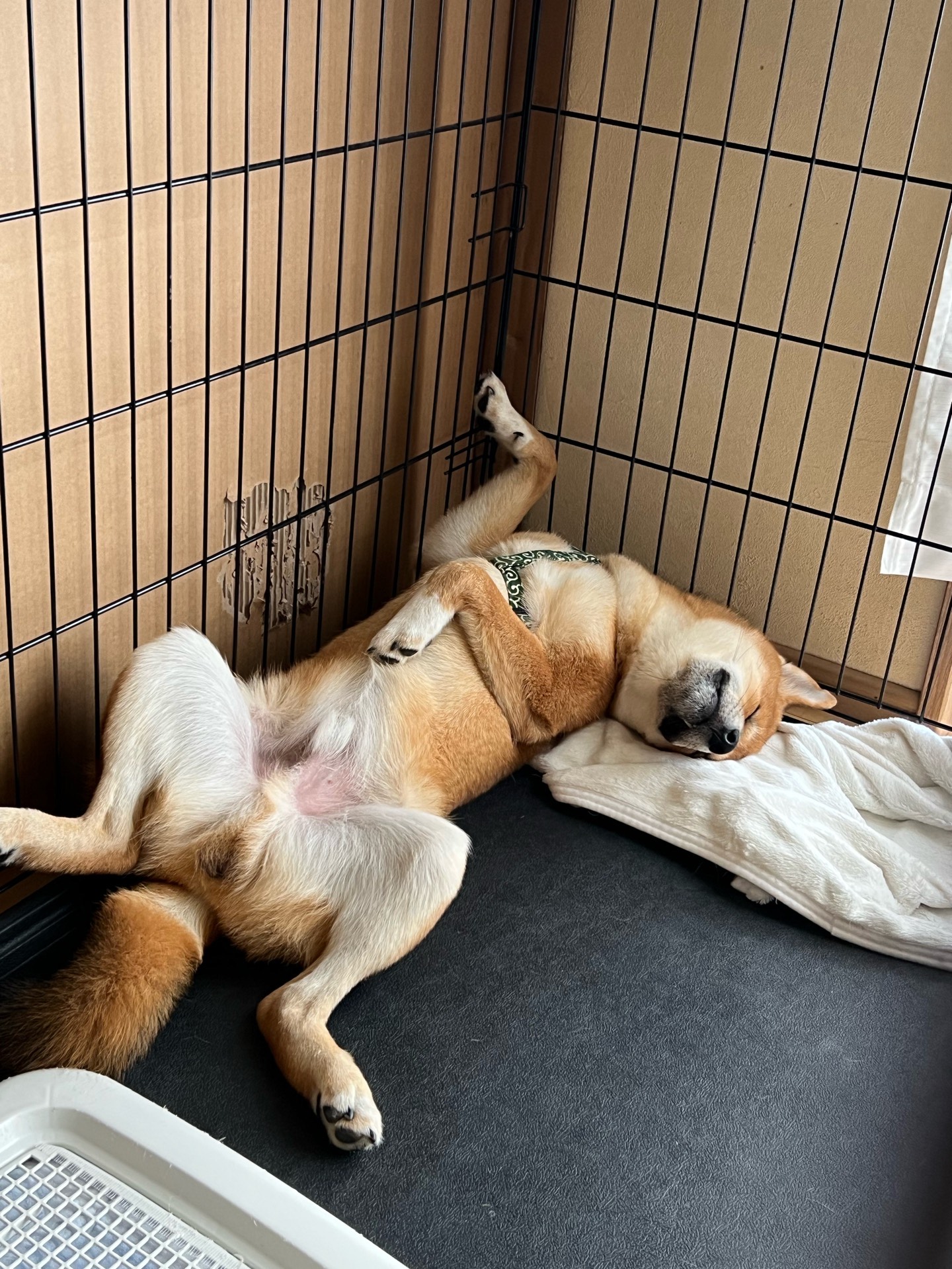 POST