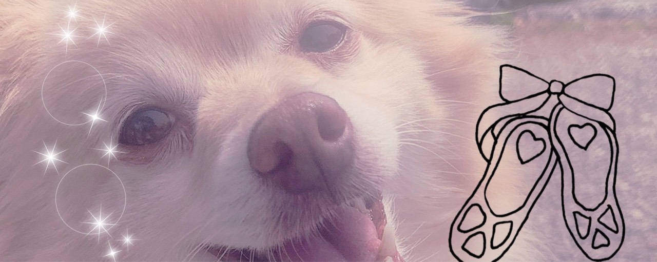 🐶💪Rie♥️Love🍢🚚💜