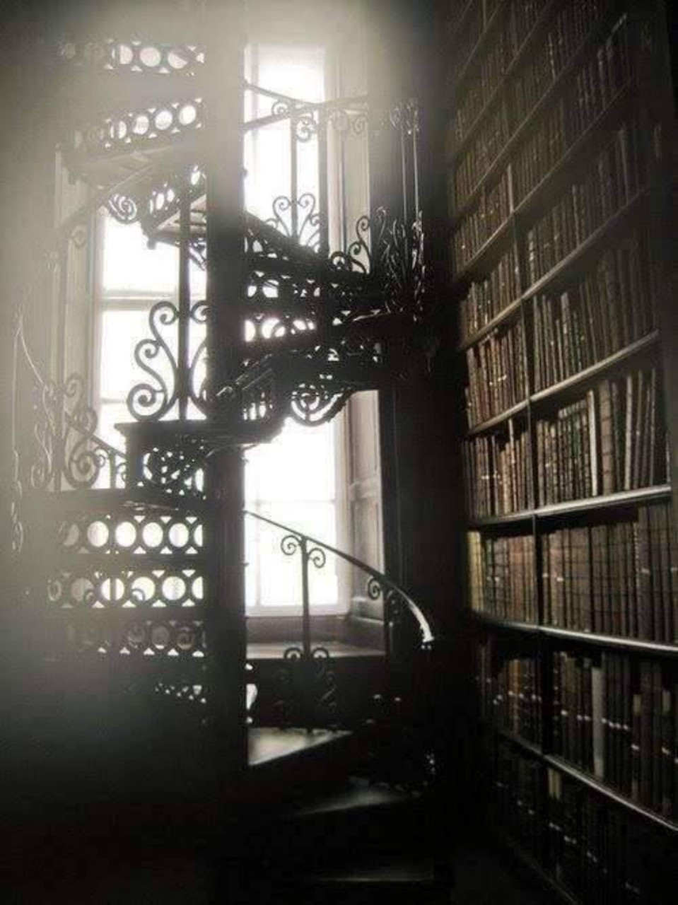 キッチンぶたぶた