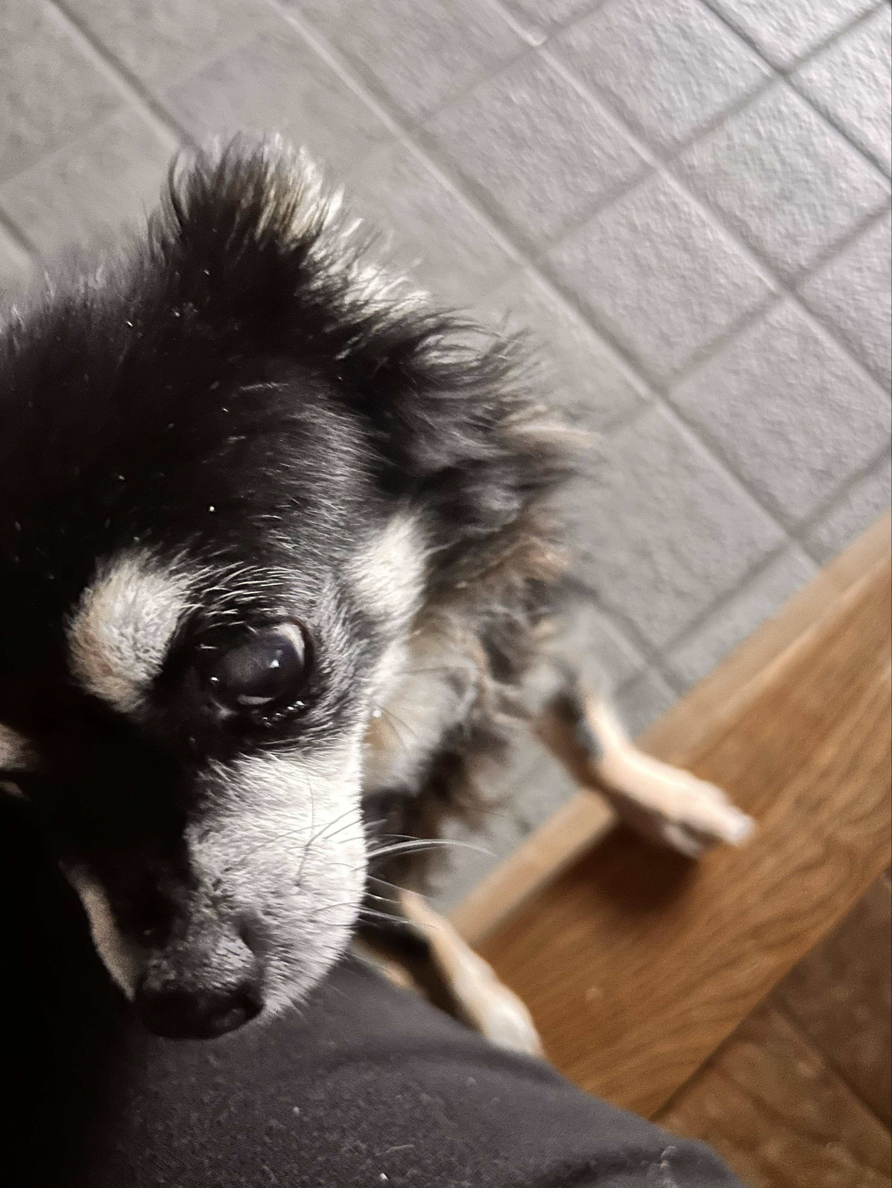 か💓‪ま💓‪た💓‪く