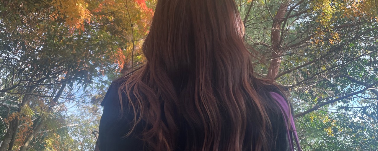 ¨̮𝙿*ﾟぴょこ