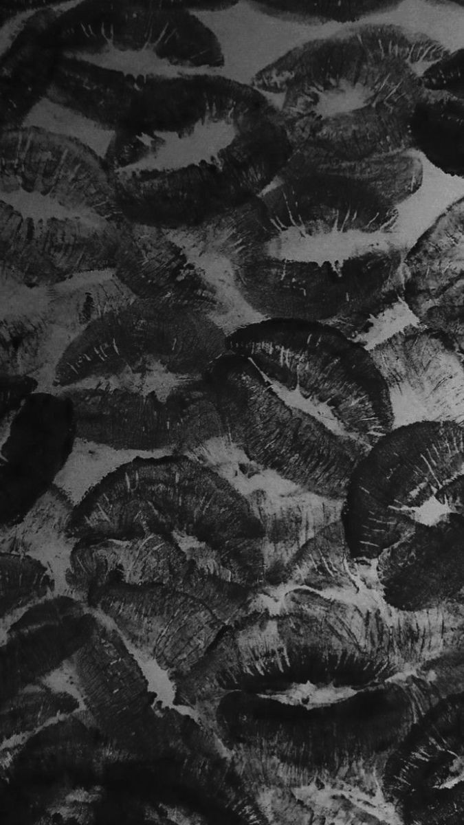 ｺﾞﾝｻﾞﾌﾞﾛﾚﾝｽSunny