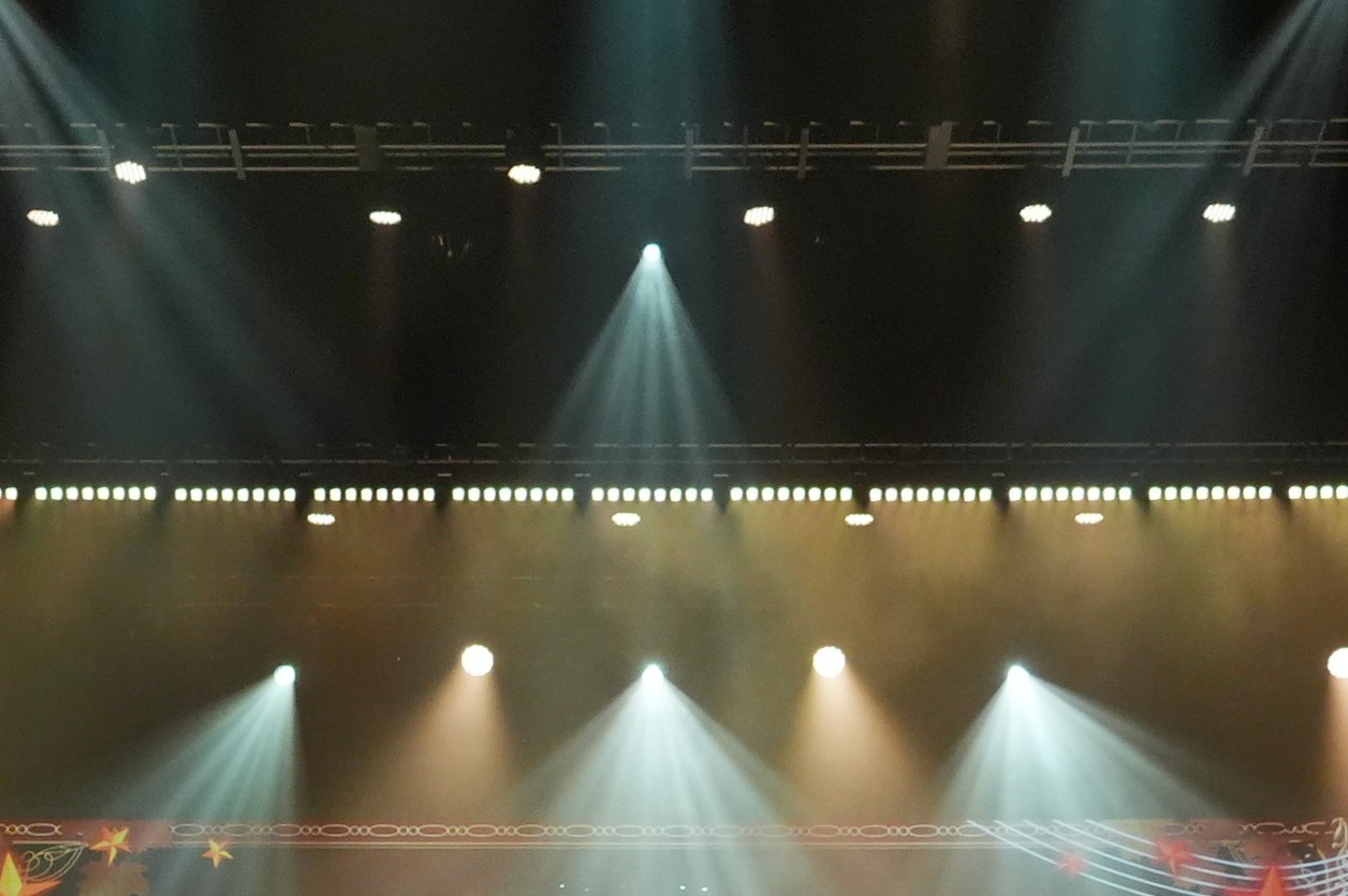 招き😺さーこ🐨🌈