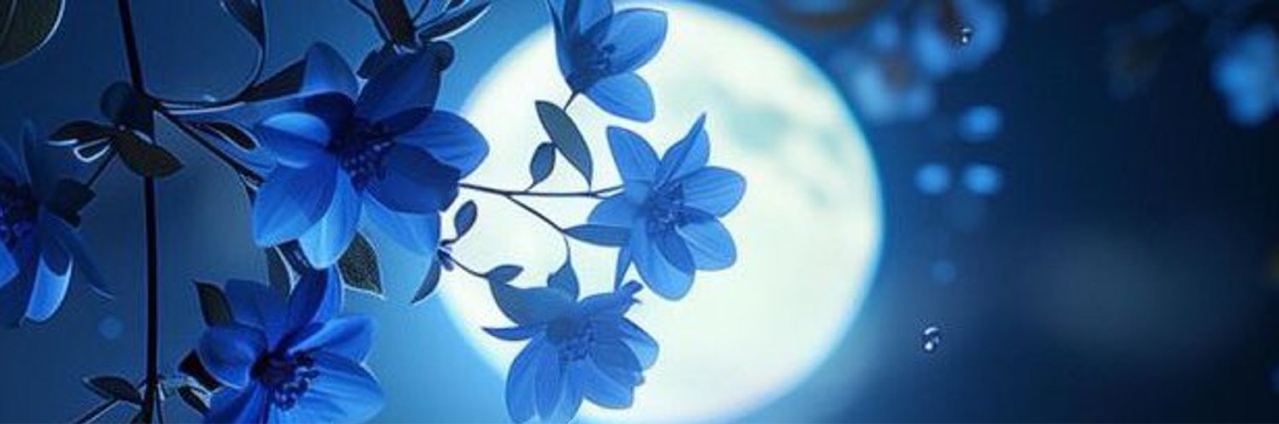 ₜꫂ ၴႅၴ‧⁺永遠-ﾄﾜ