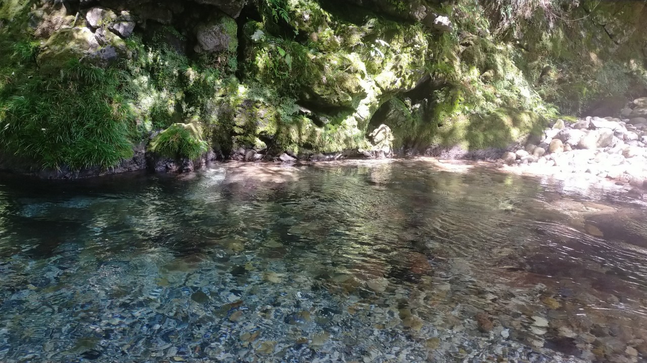 ððððžïžïžçŸå¹