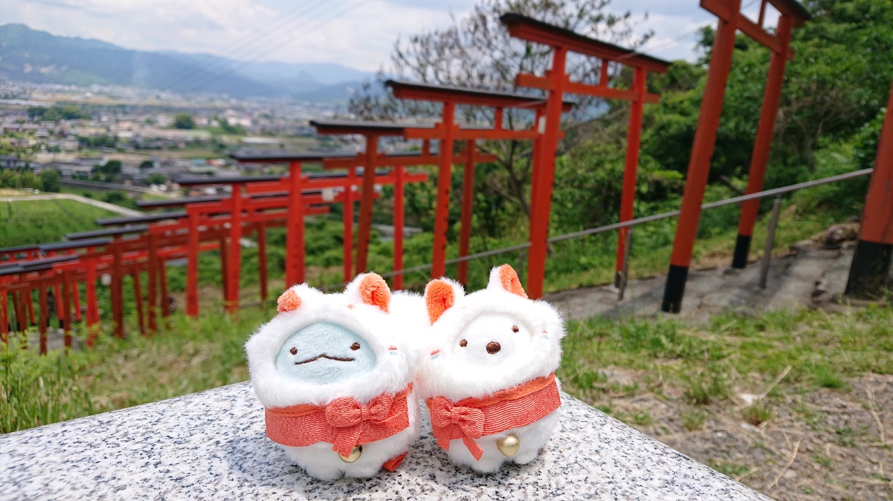 月狐（つきこ）🦊