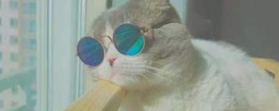 むめくん