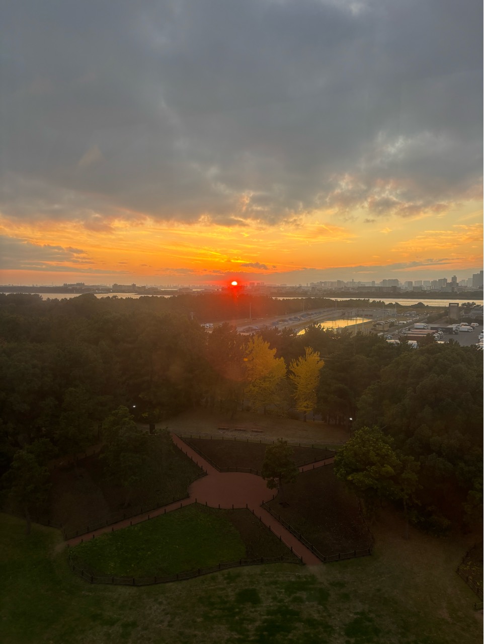 アセトアルデヒドになりたい