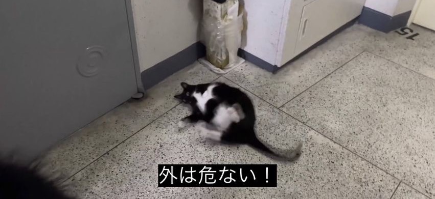 らる