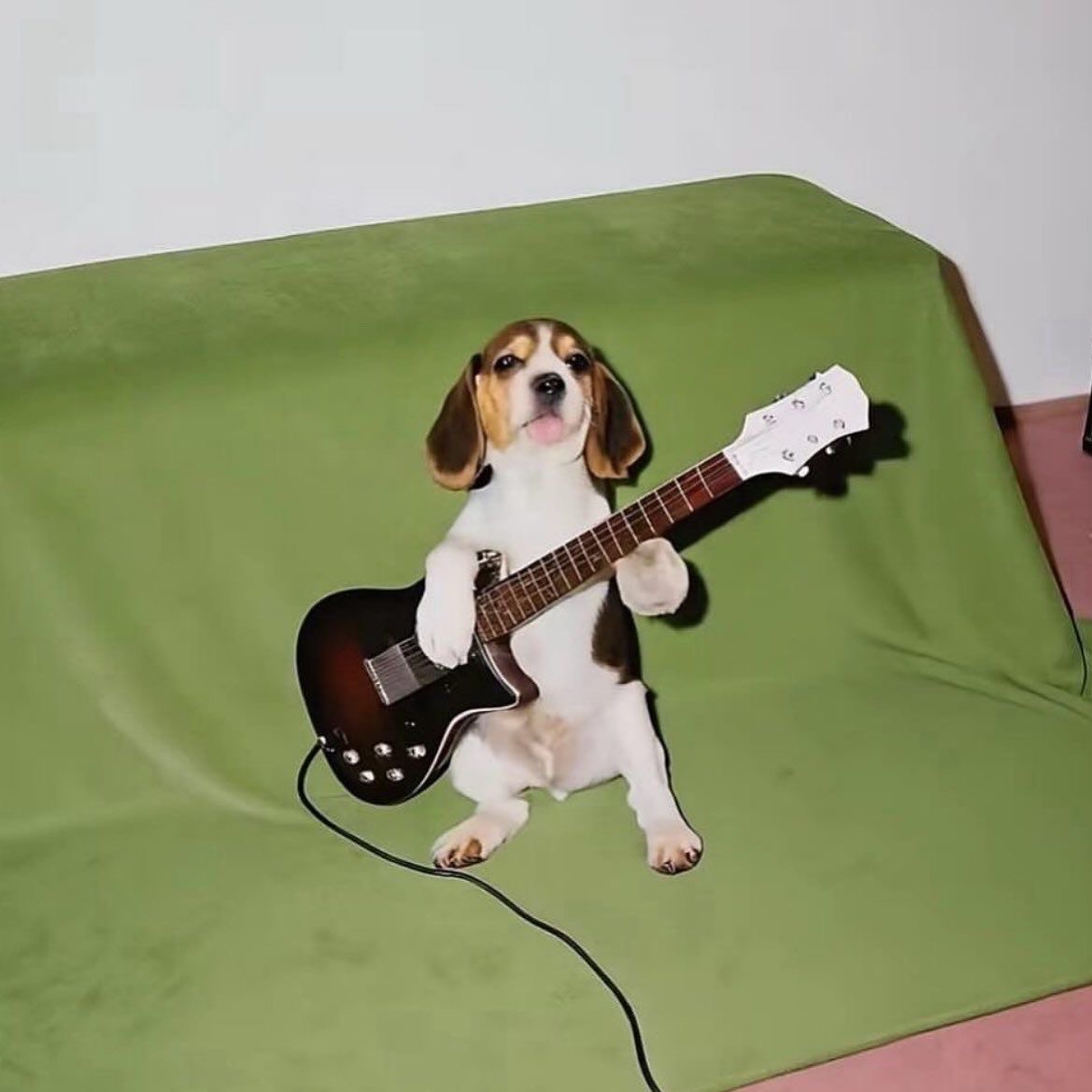 ちゃおちゅーる