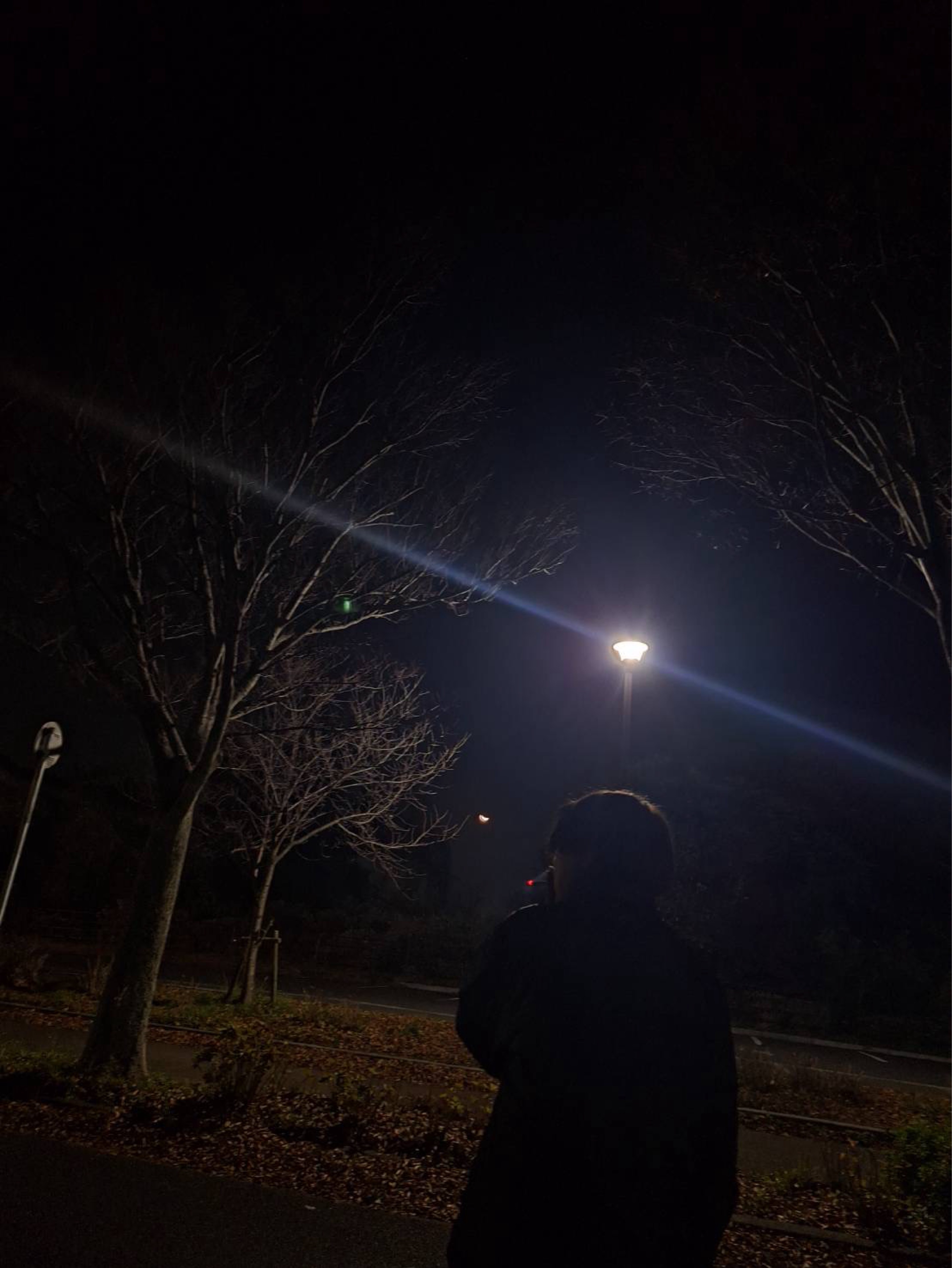 羚