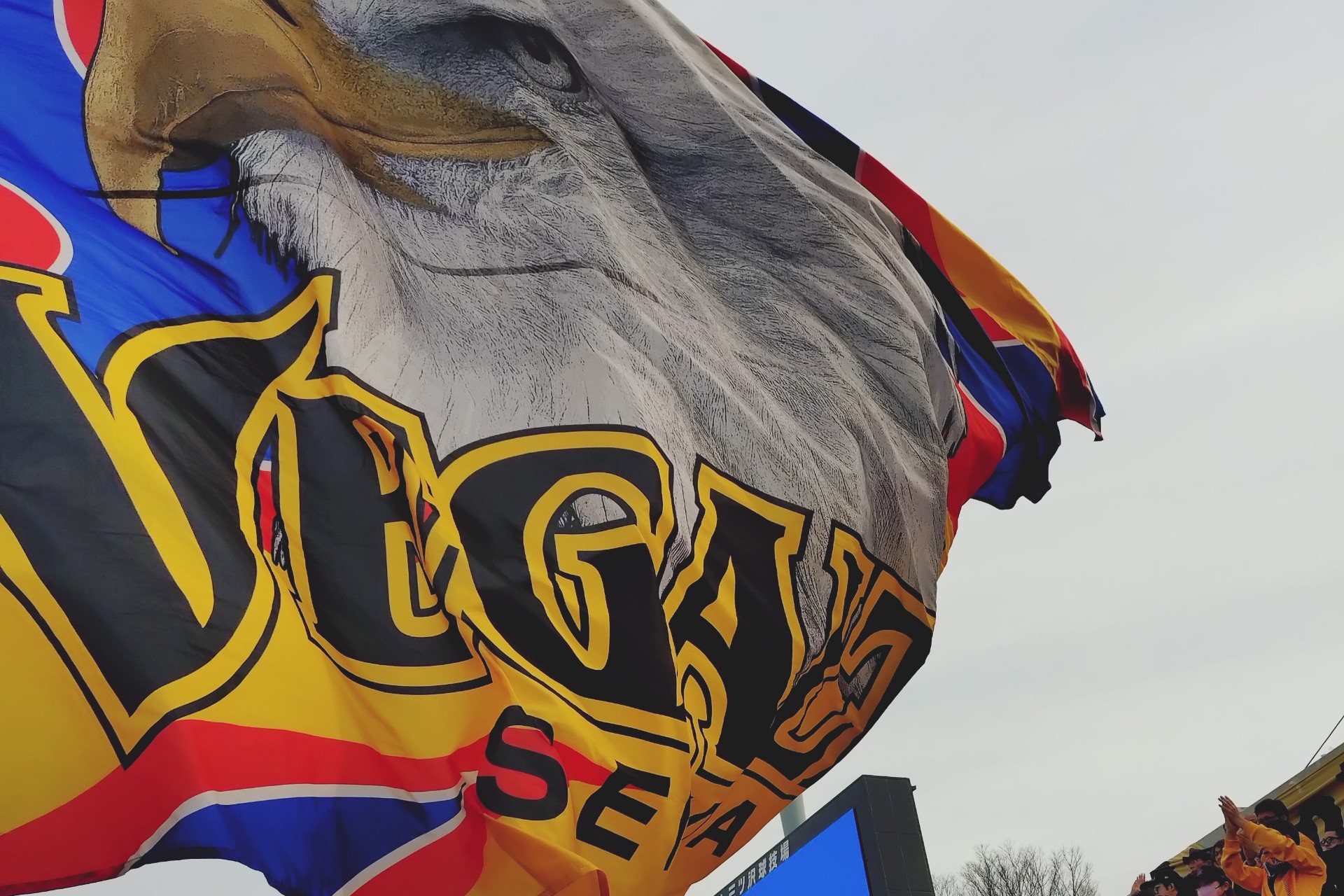 ☘️🍀︎ナナバ