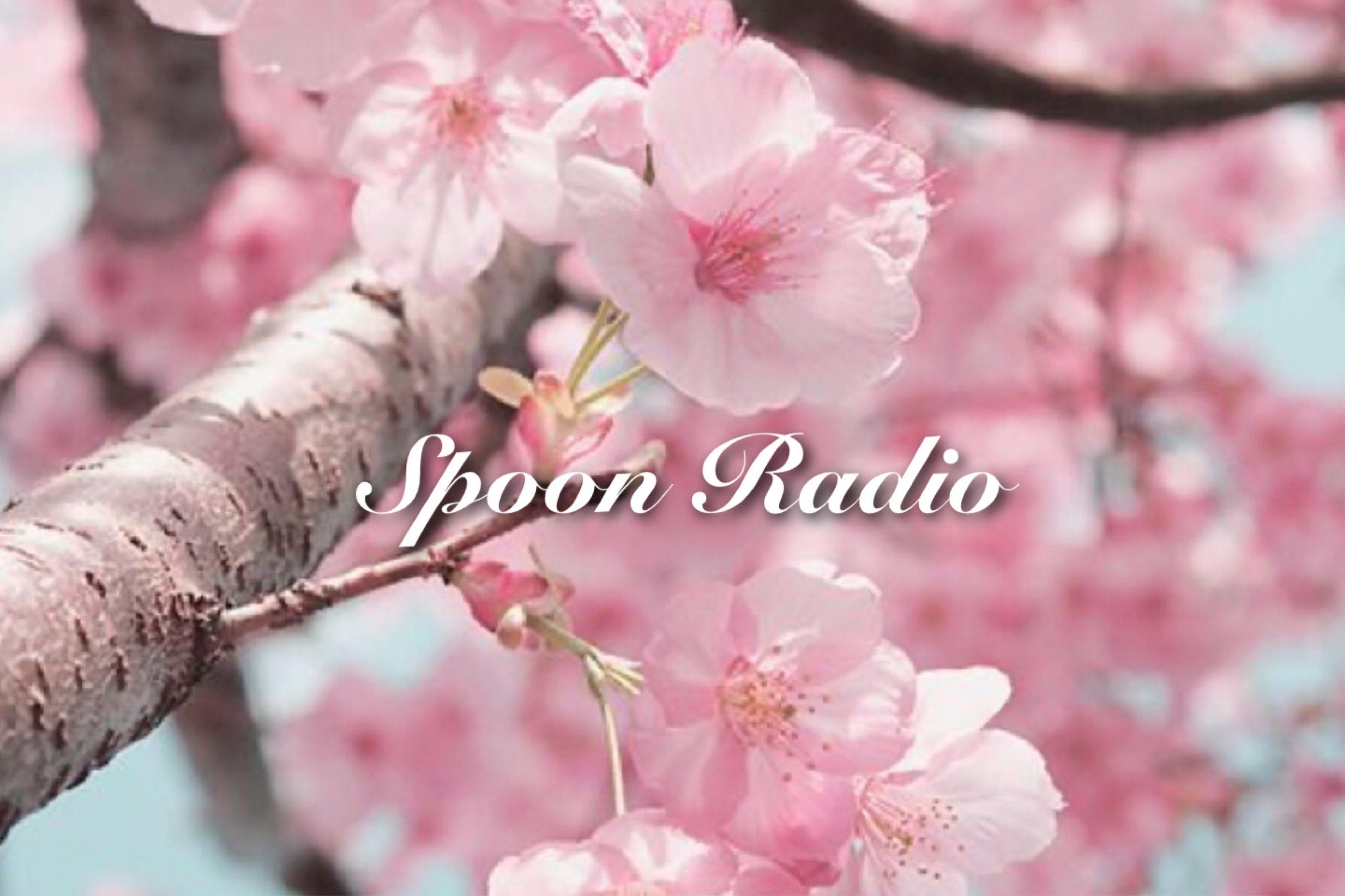 ❄︎·̩͙ᴿりん-𝓡𝓲𝓷-