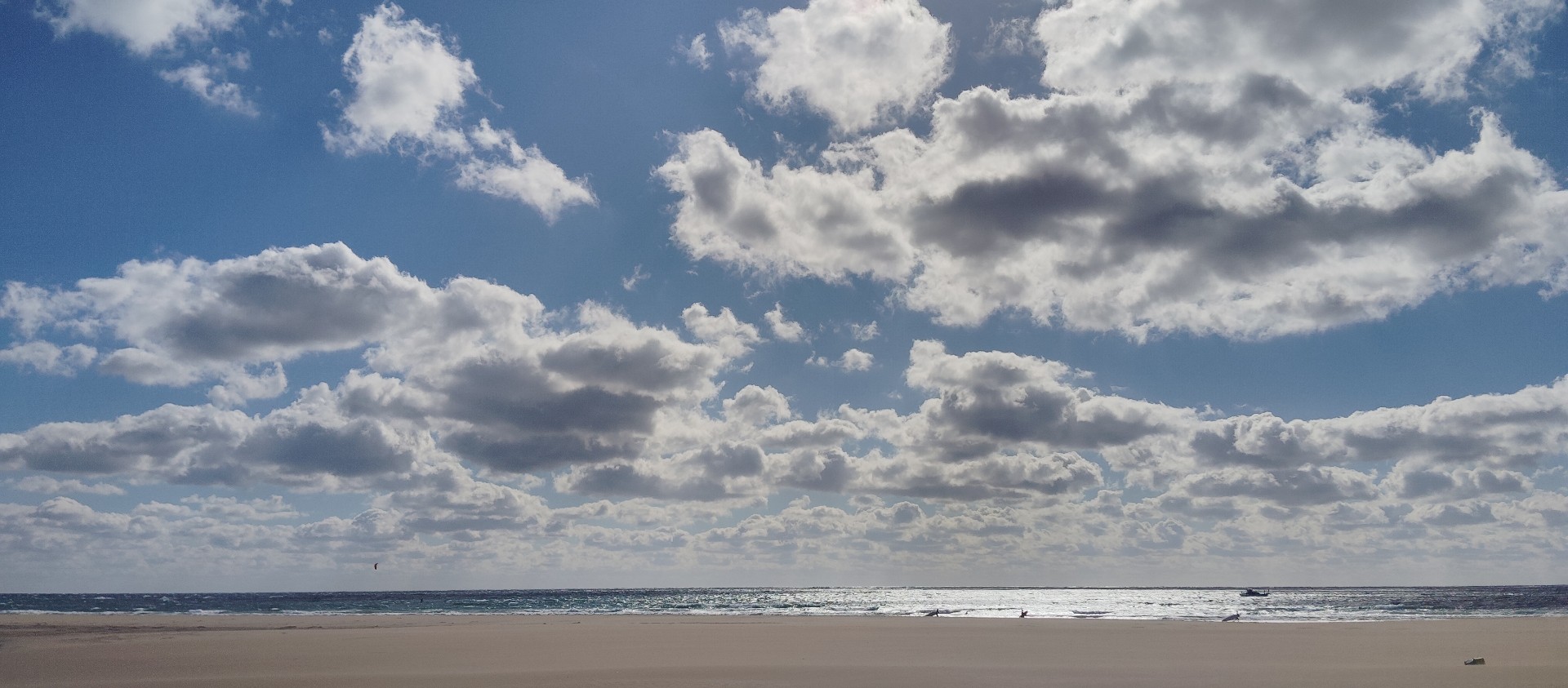 もず ♈️ 元カシス