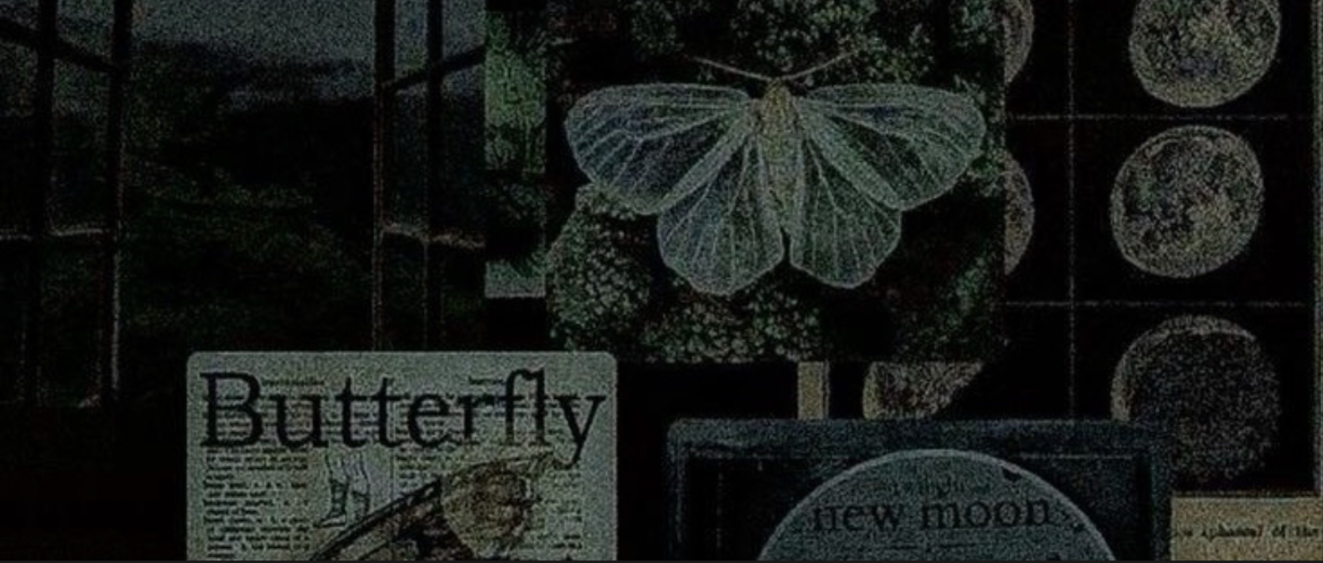ðŒð.