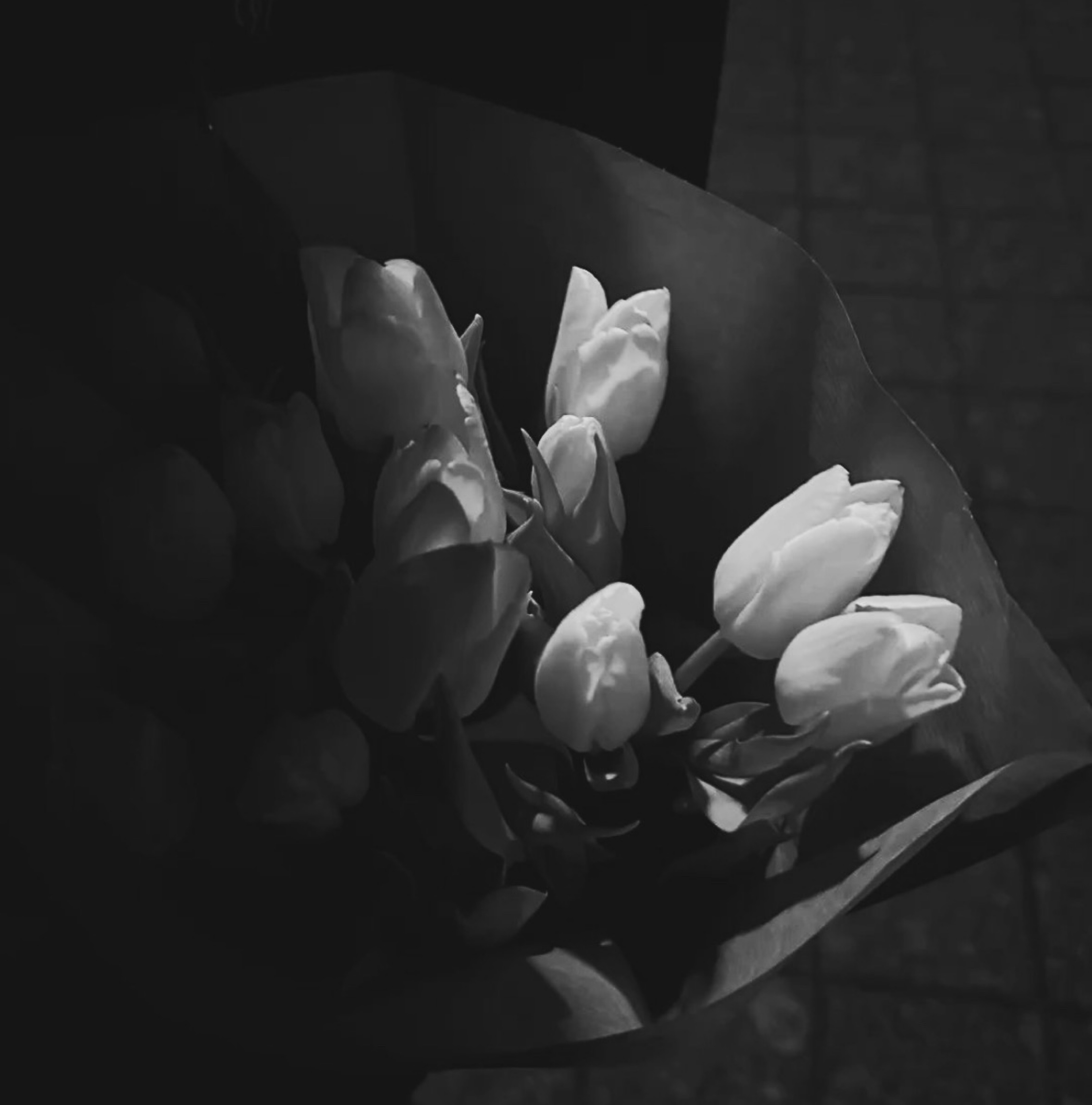 ♭˒˒ ︎ ︎ ︎ ︎ ︎