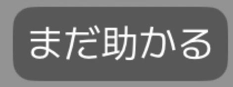 ᔆ‪ꪔ✌︎︎︎·͜·︎︎しゃもじ。