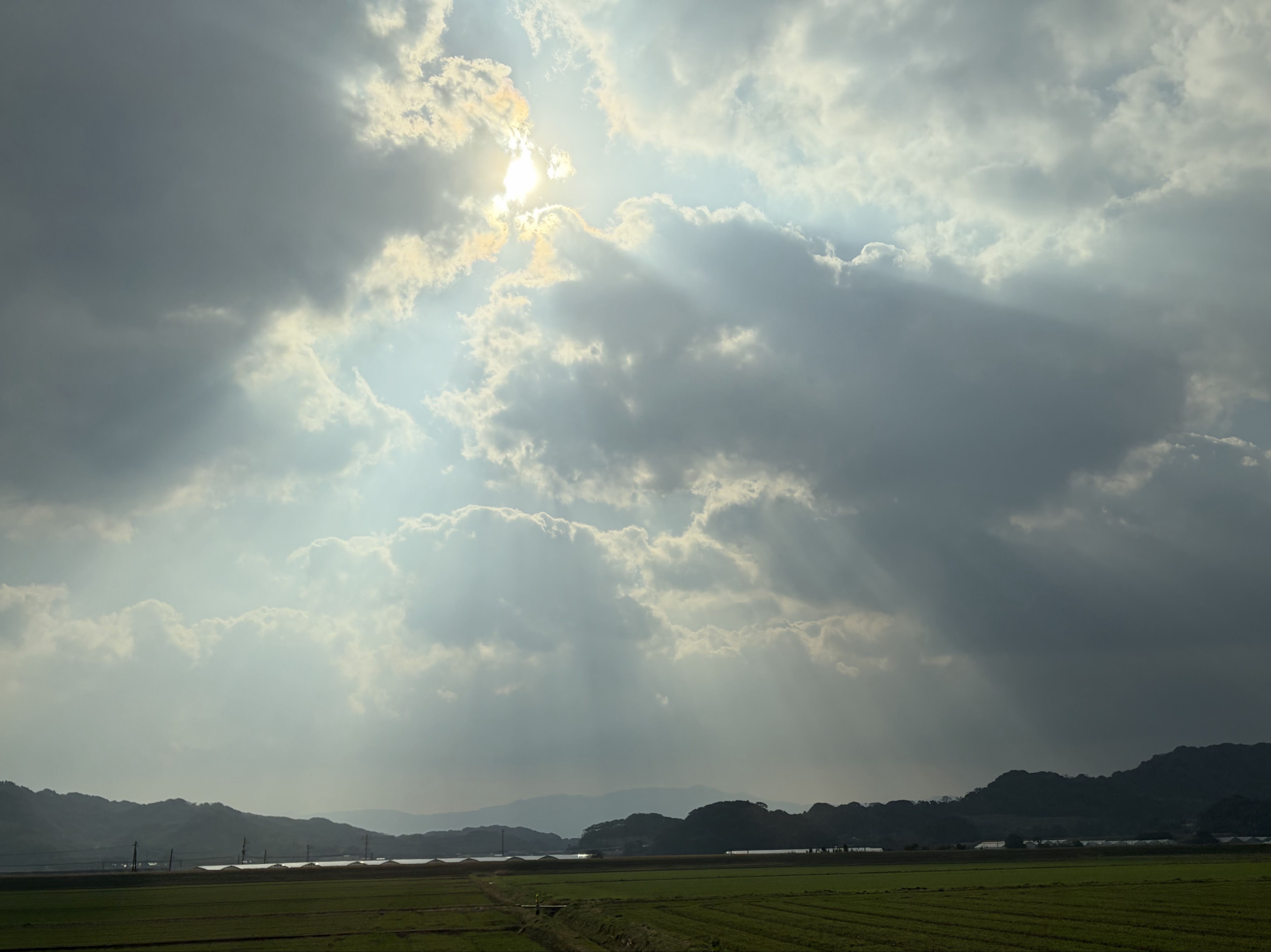 胡梨(こなし)