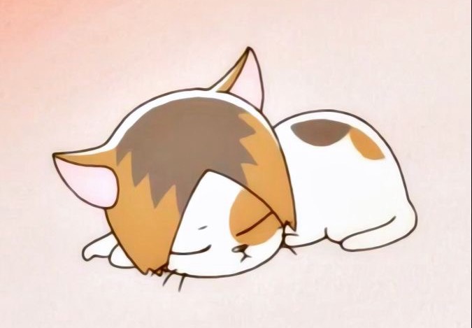 🐈‍⬛ ͗ ͗ねぉ𓈒𓏸◌🍁