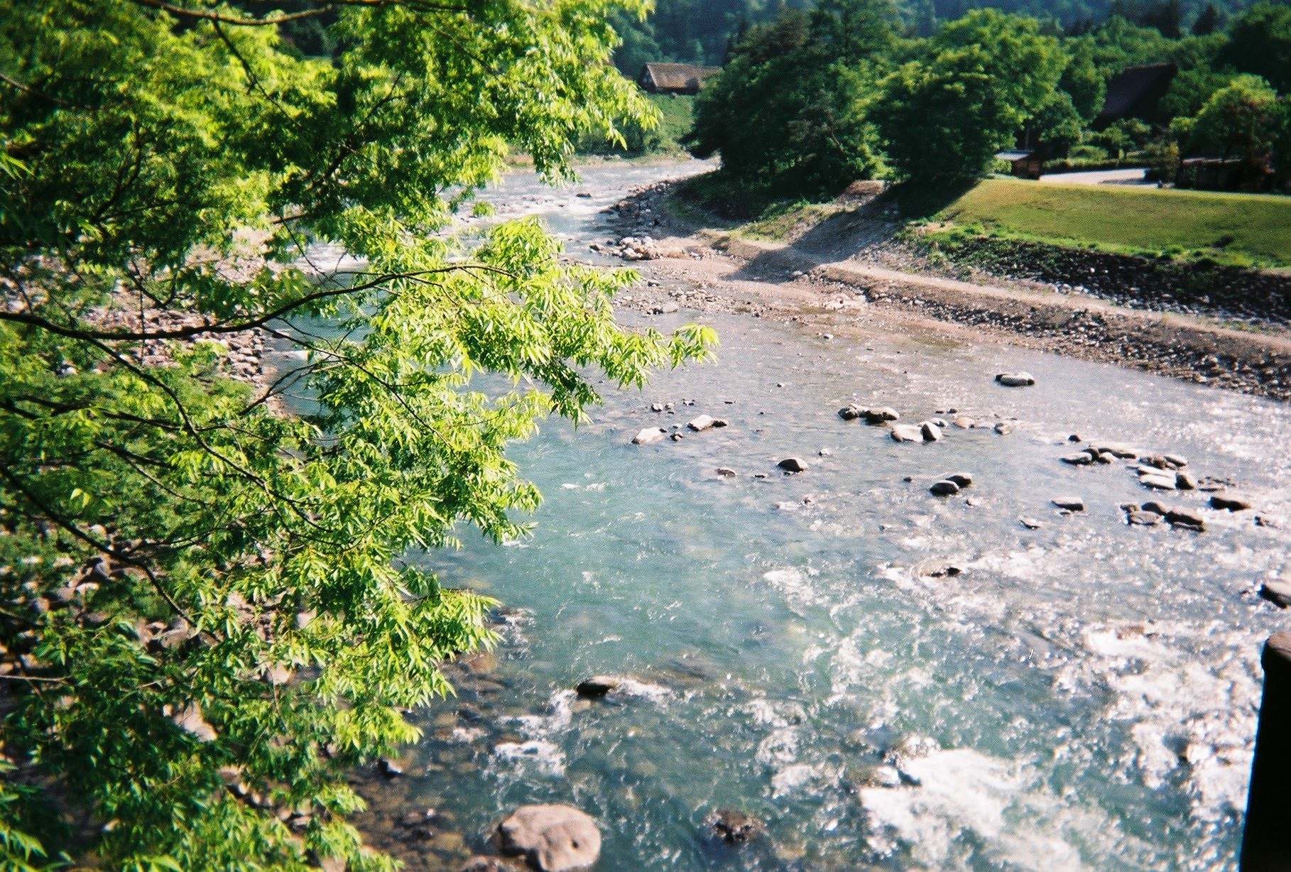 小月 屑(おづき くず)