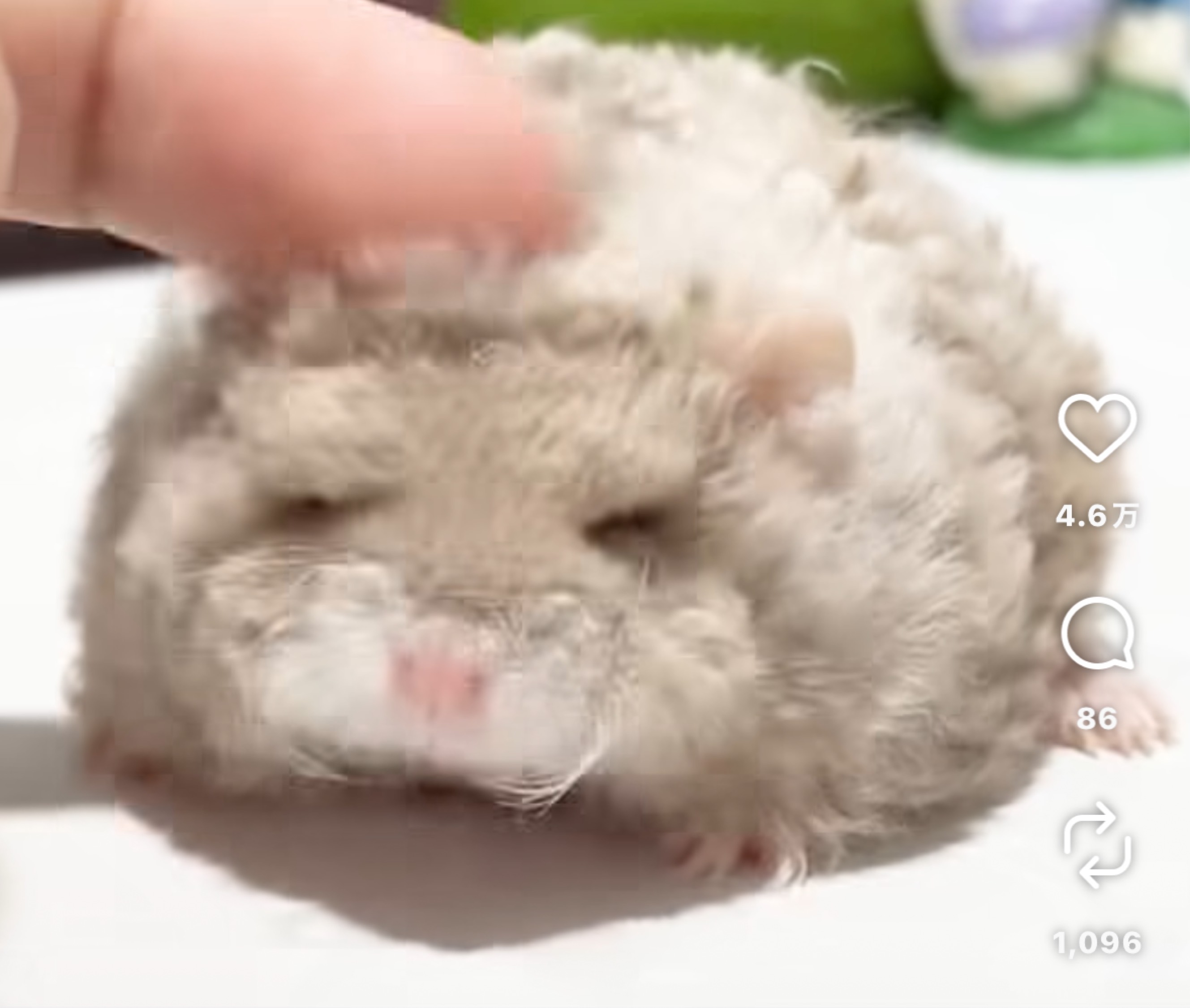 まあちる