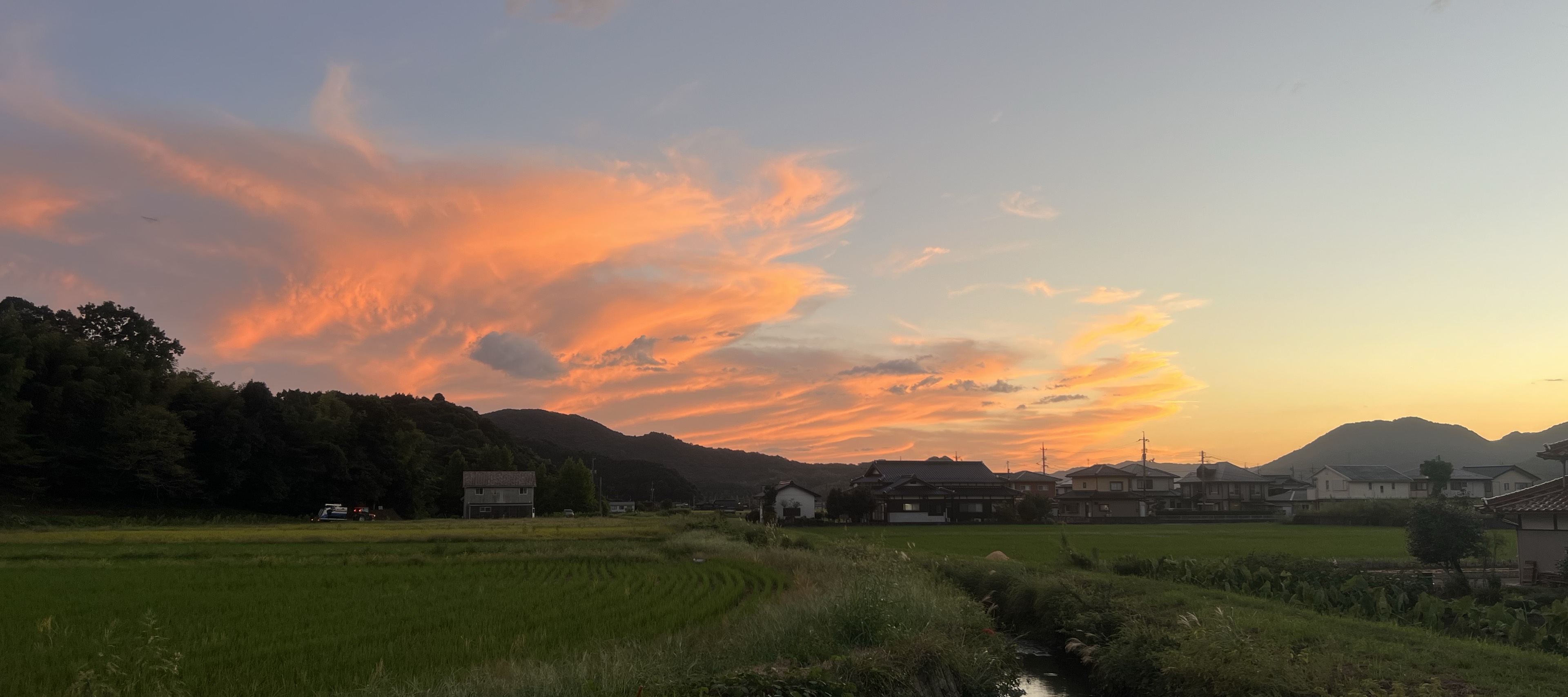 笑夜。