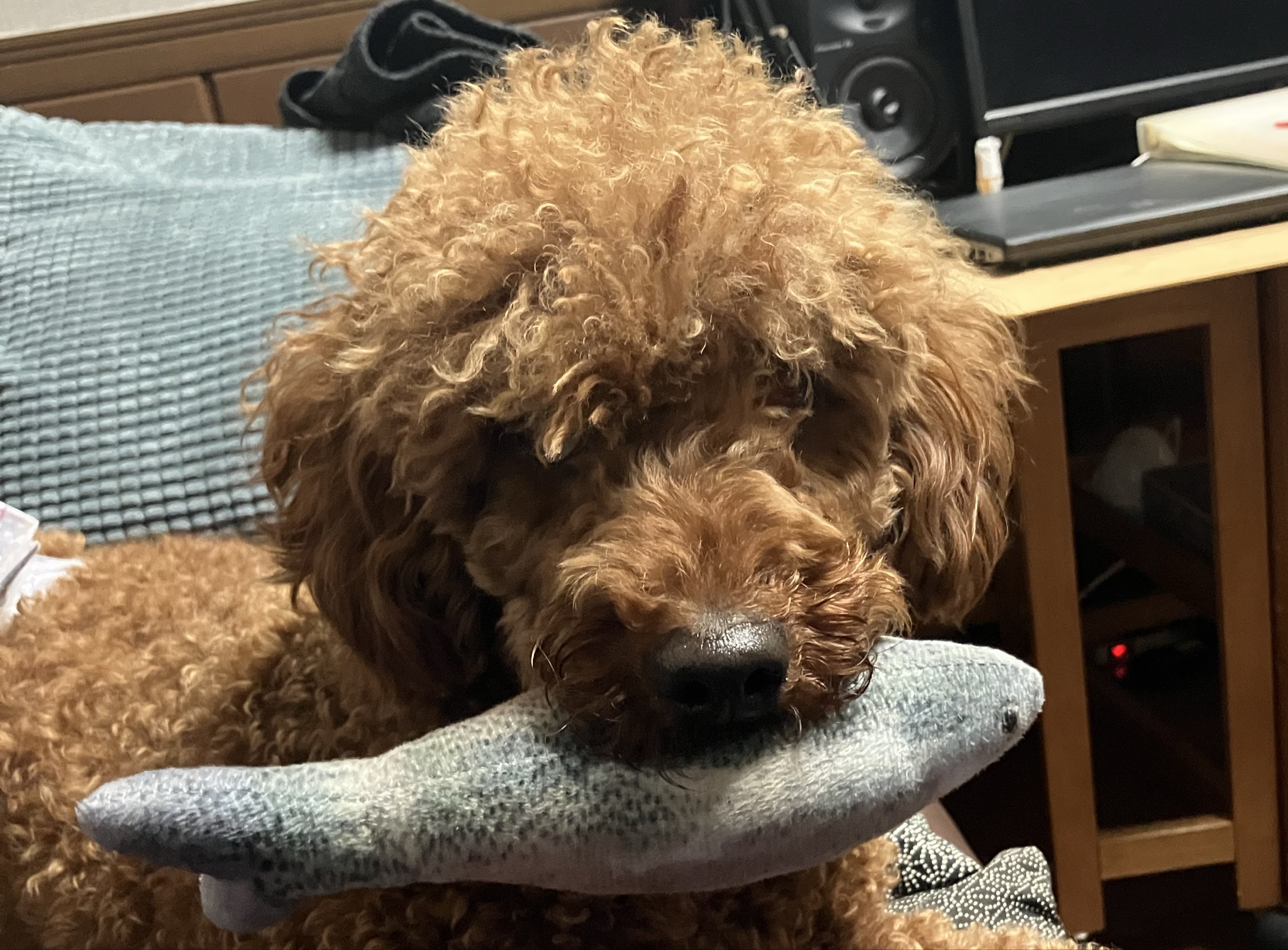 がっかり おじさん