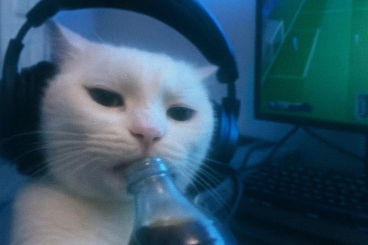 ニキ