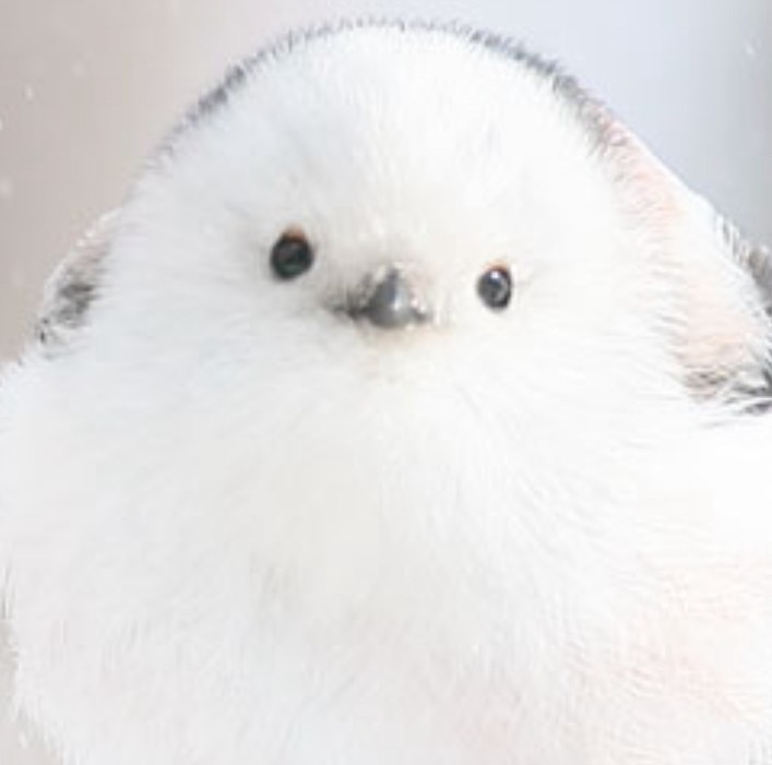 ログアウト